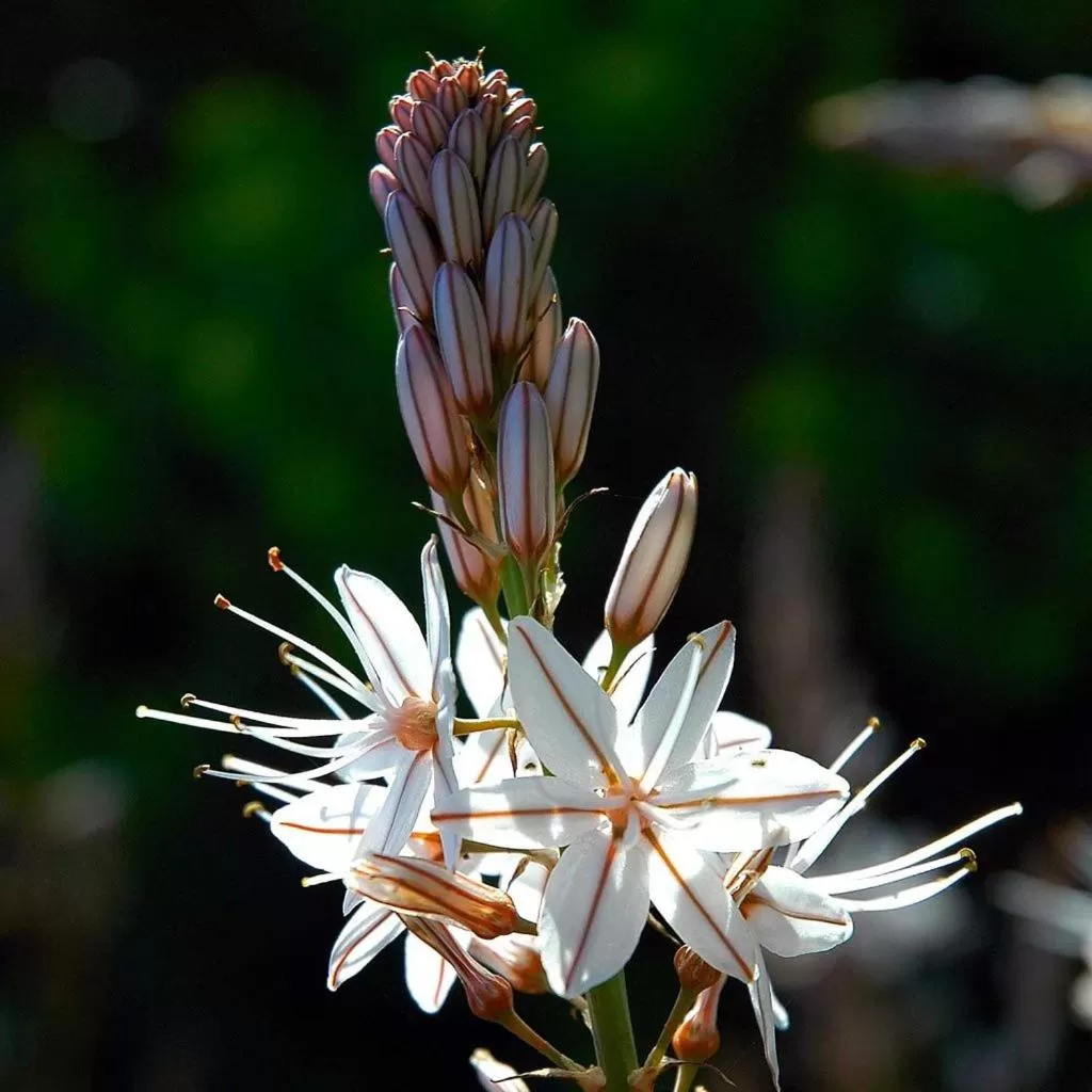 Other Animals in B&B Antoclo Di Concas Angela Margherita