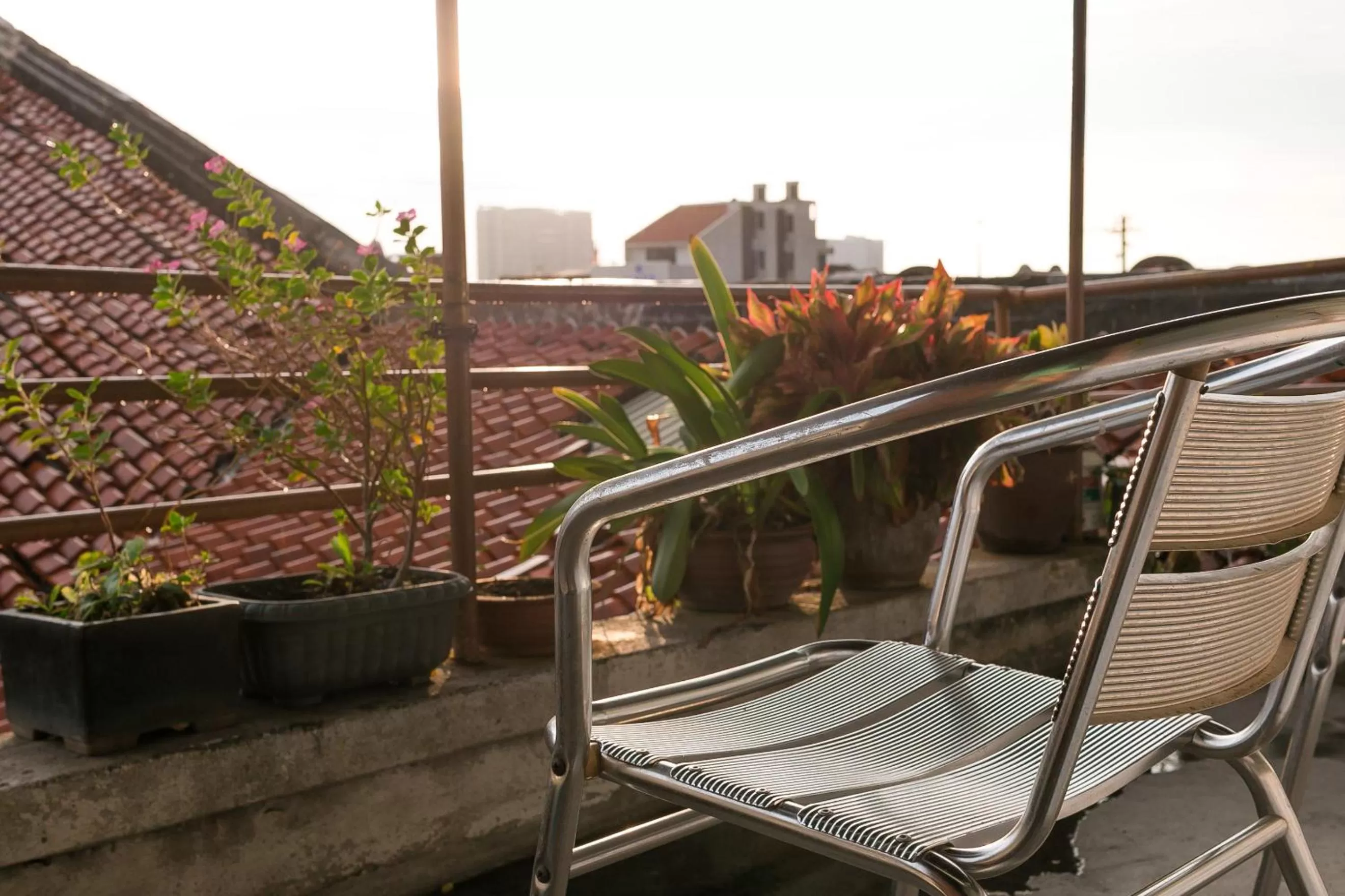 Balcony/Terrace in Voyage Guesthouse