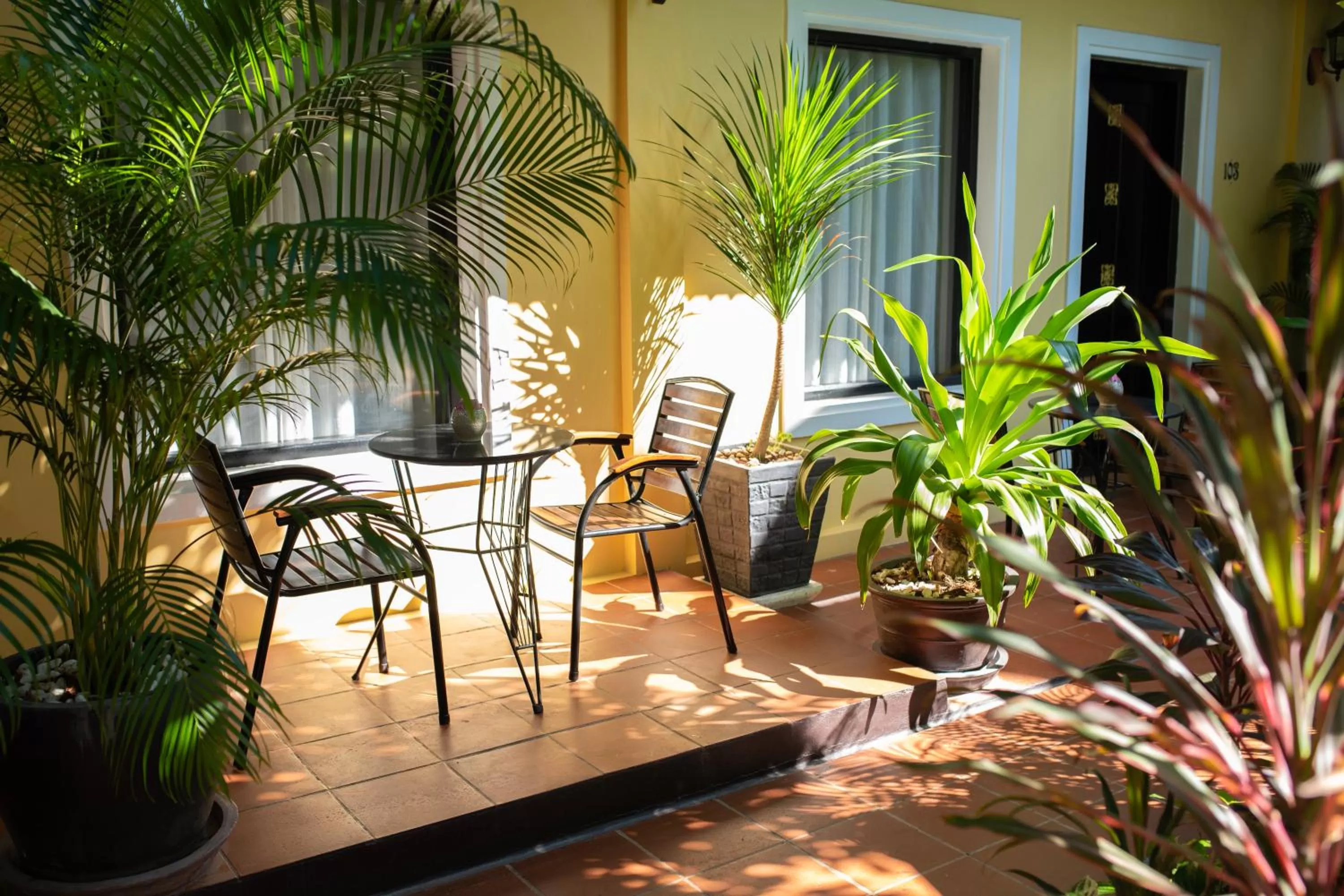 Garden in Sophavady D'Angkor