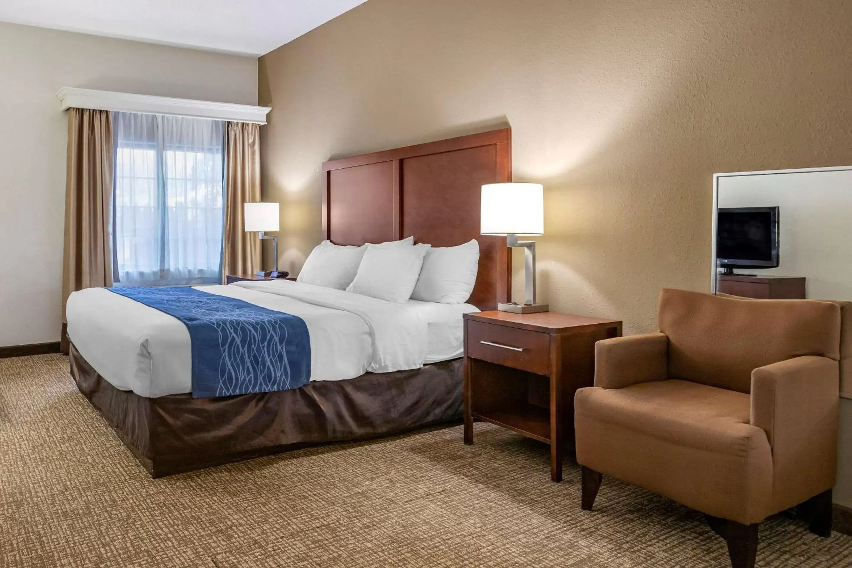 Photo of the whole room in Comfort Inn Downtown - University Area