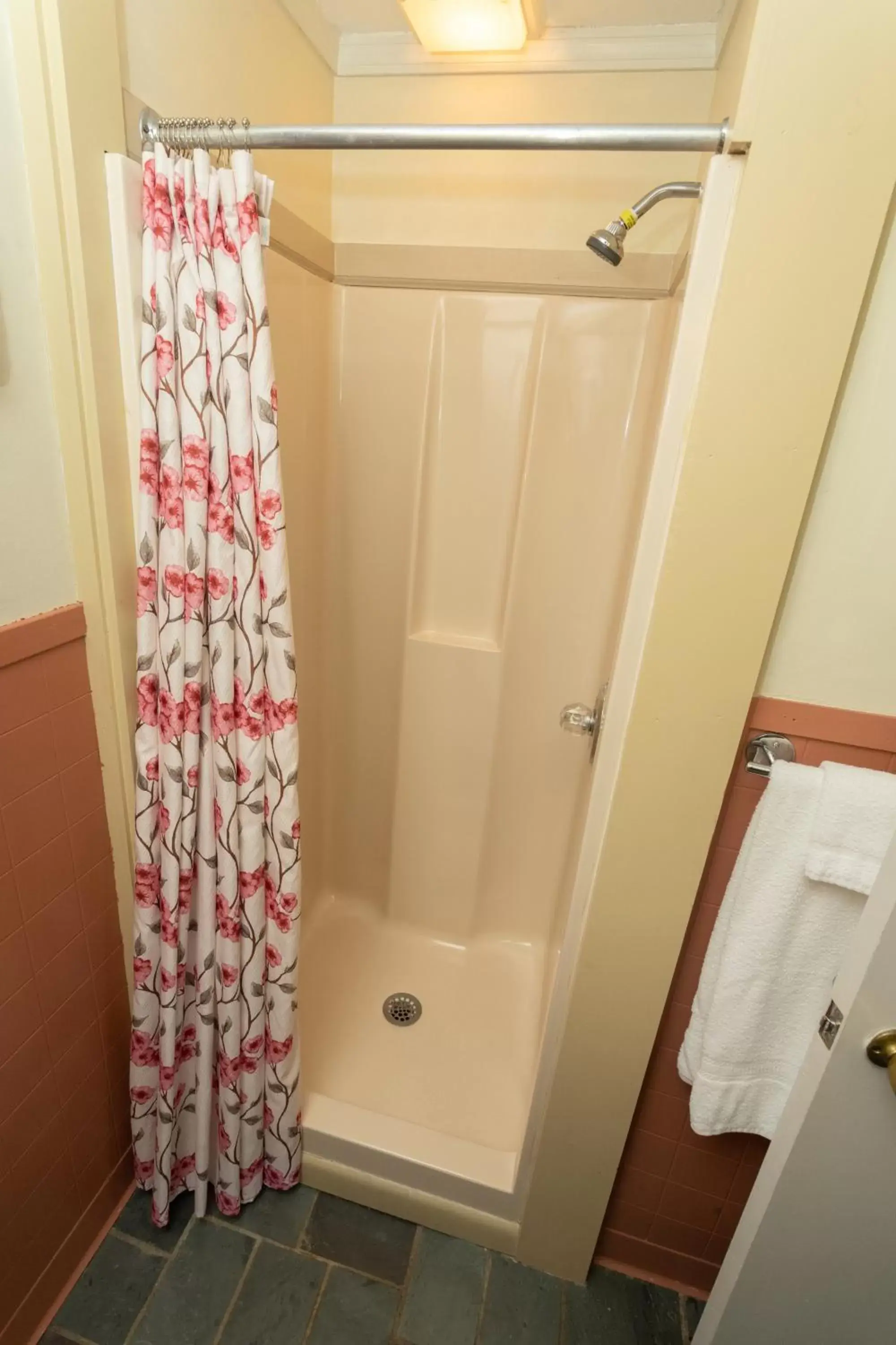 Shower, Bathroom in Governor's Rock Motel