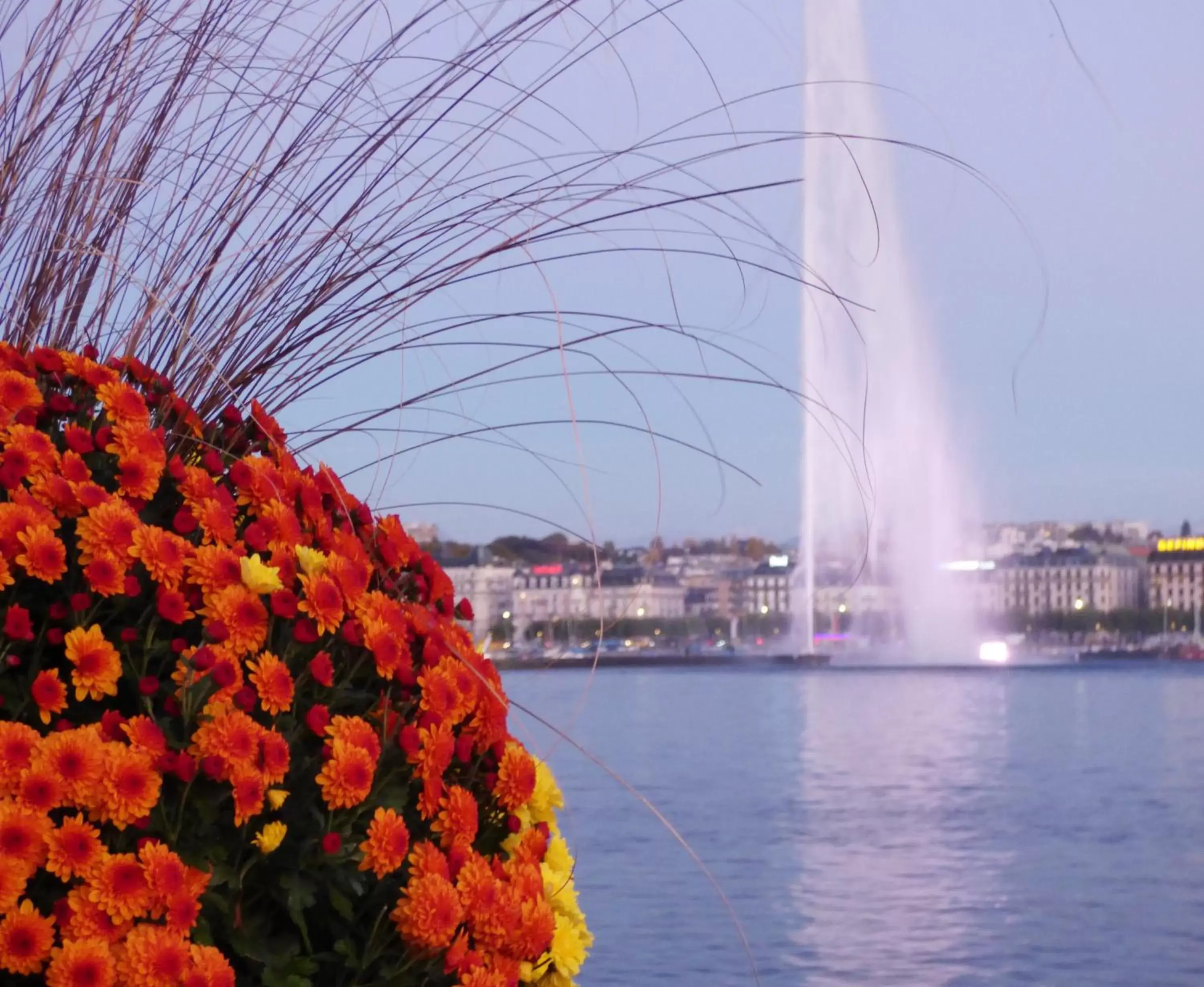 Nearby landmark in Fraser Suites Geneva - Serviced Apartments