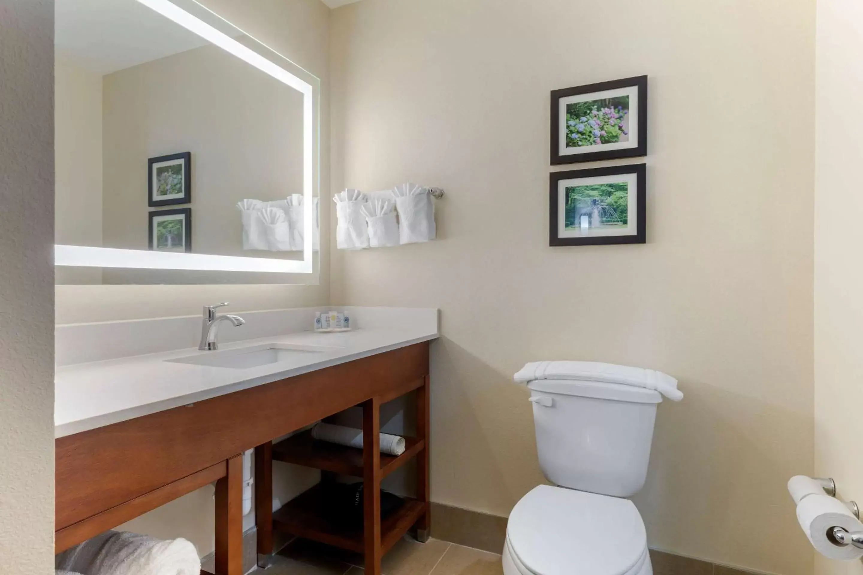 Photo of the whole room in Comfort Suites West Monroe near Ike Hamilton Expo Center Photo of the whole room in Comfort Suites West Monroe near Ike Hamilton Expo Center