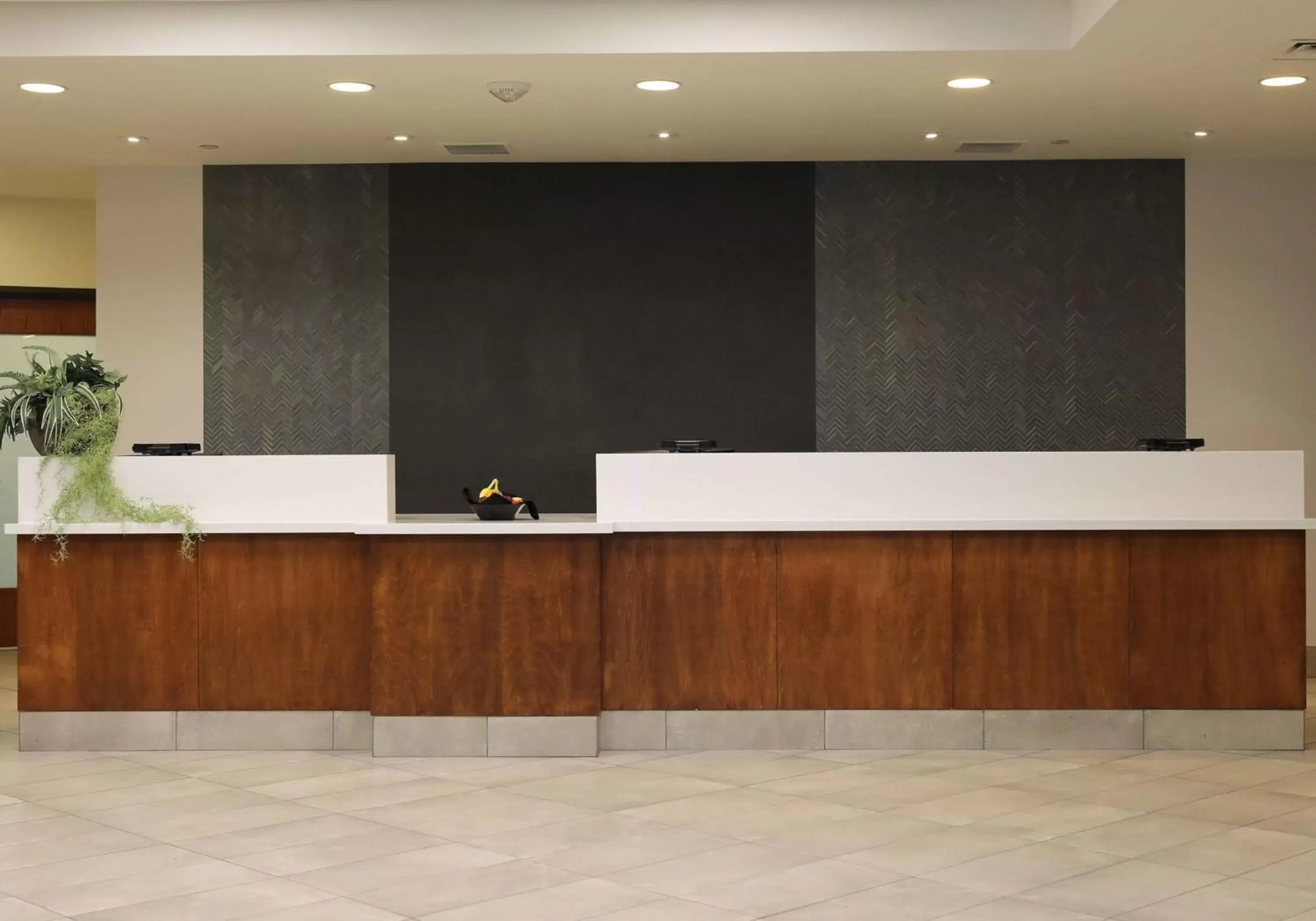 Lobby or reception, Lobby/Reception in Doubletree By Hilton Omaha Southwest, Ne