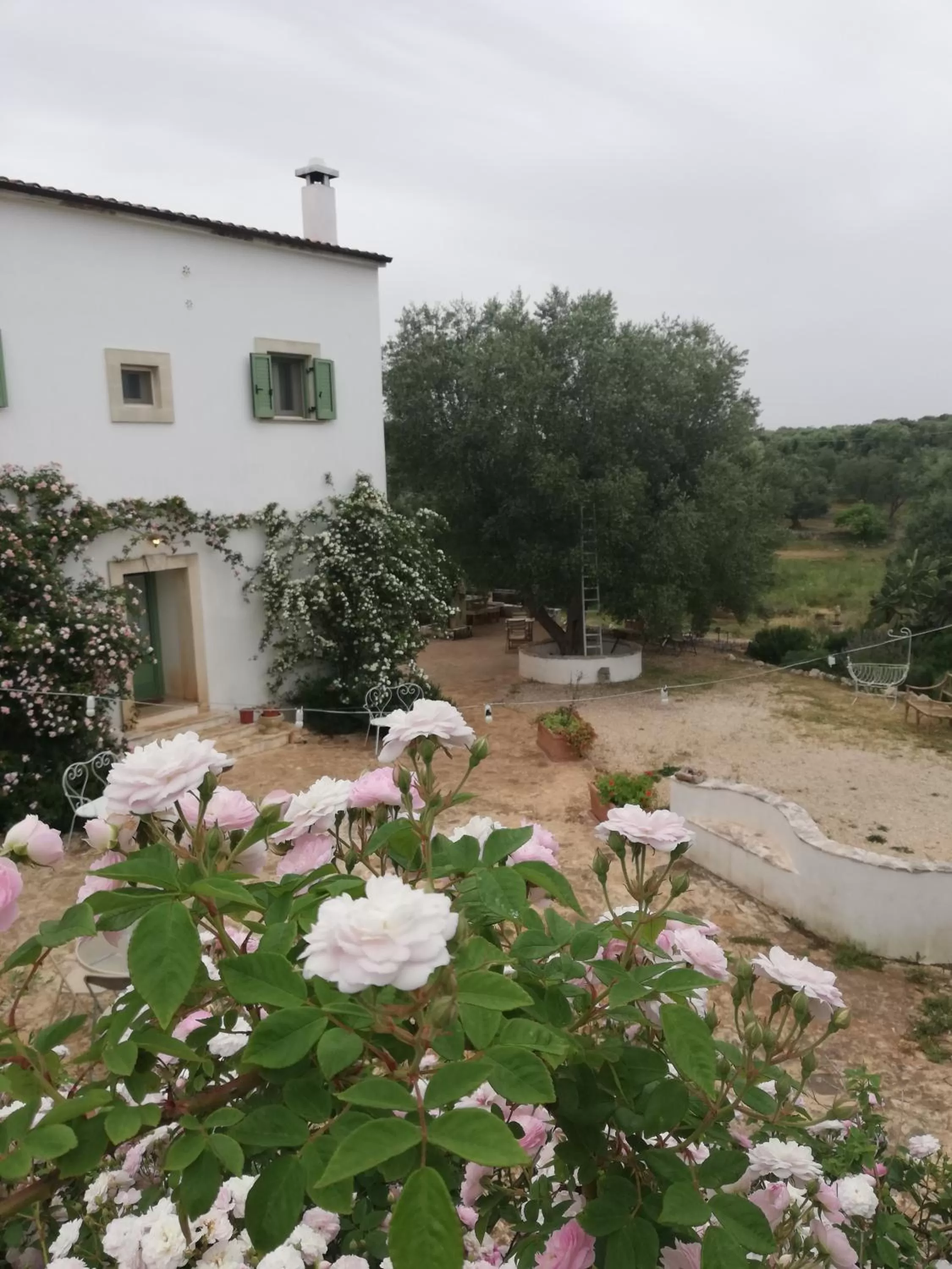 Property Building in B&B Giovannarolla Green House