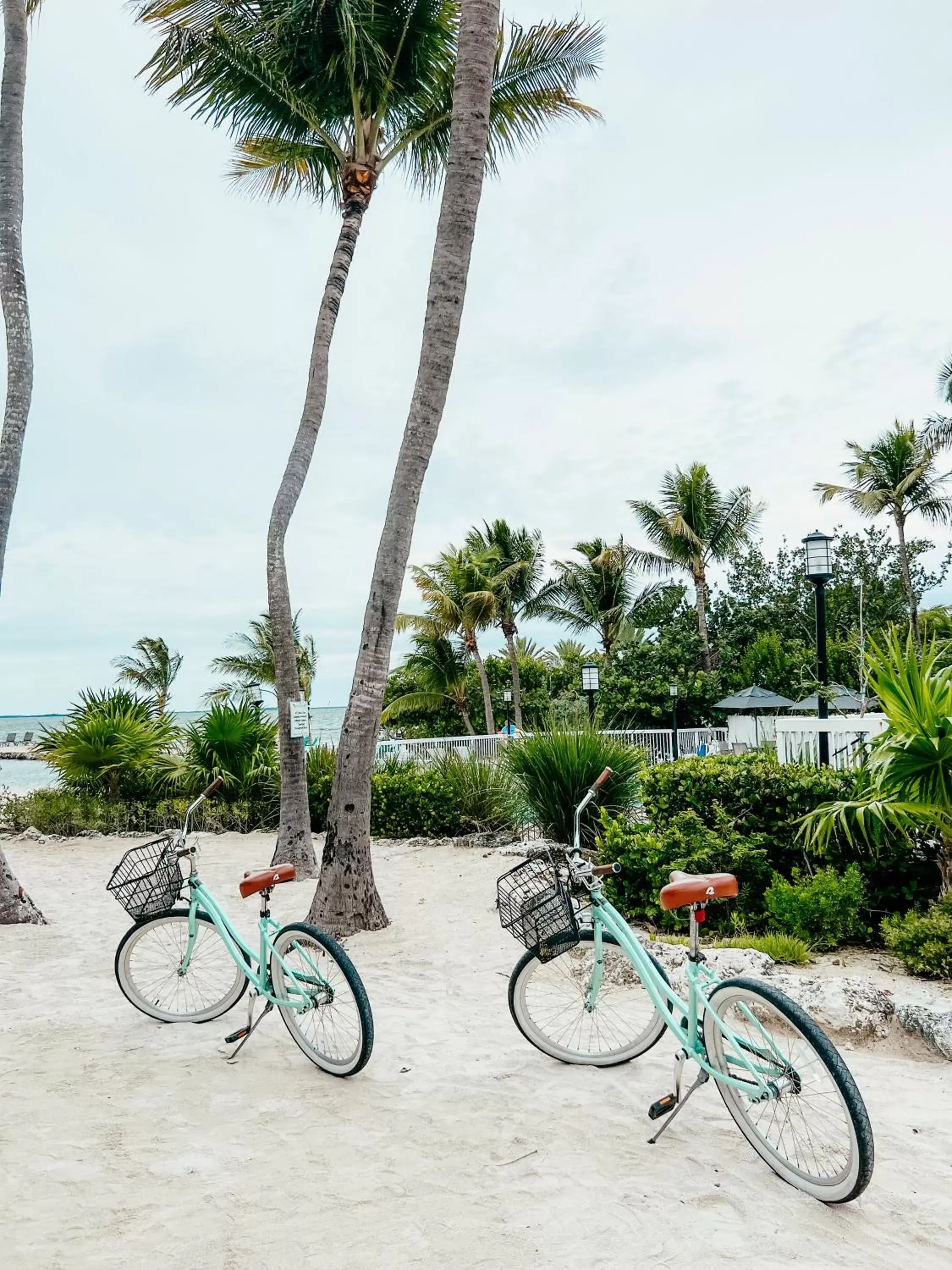 Cycling, Other Activities in Bayside Inn Key Largo