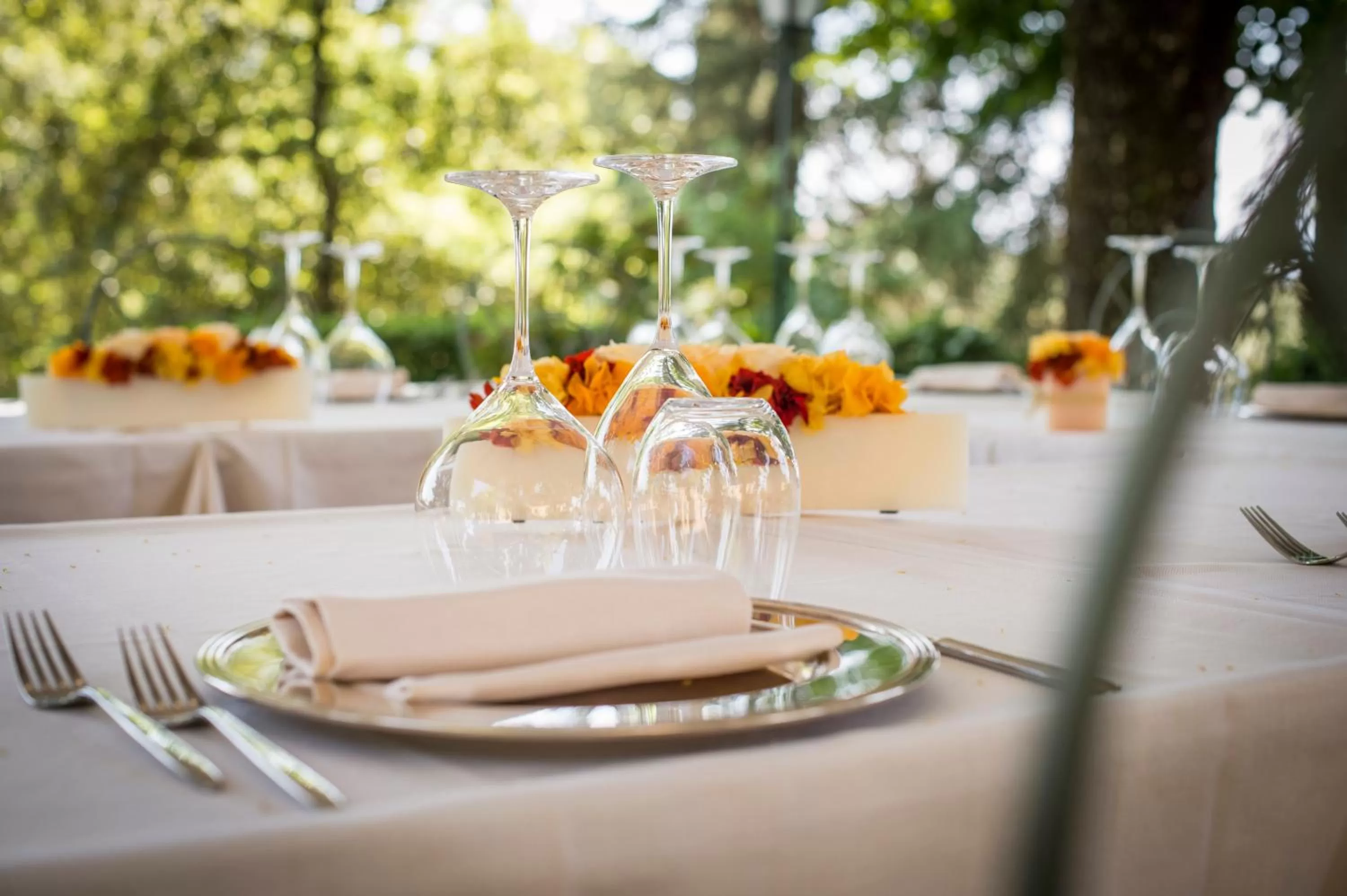 Banquet/Function facilities in Villa Scacciapensieri Boutique Hotel