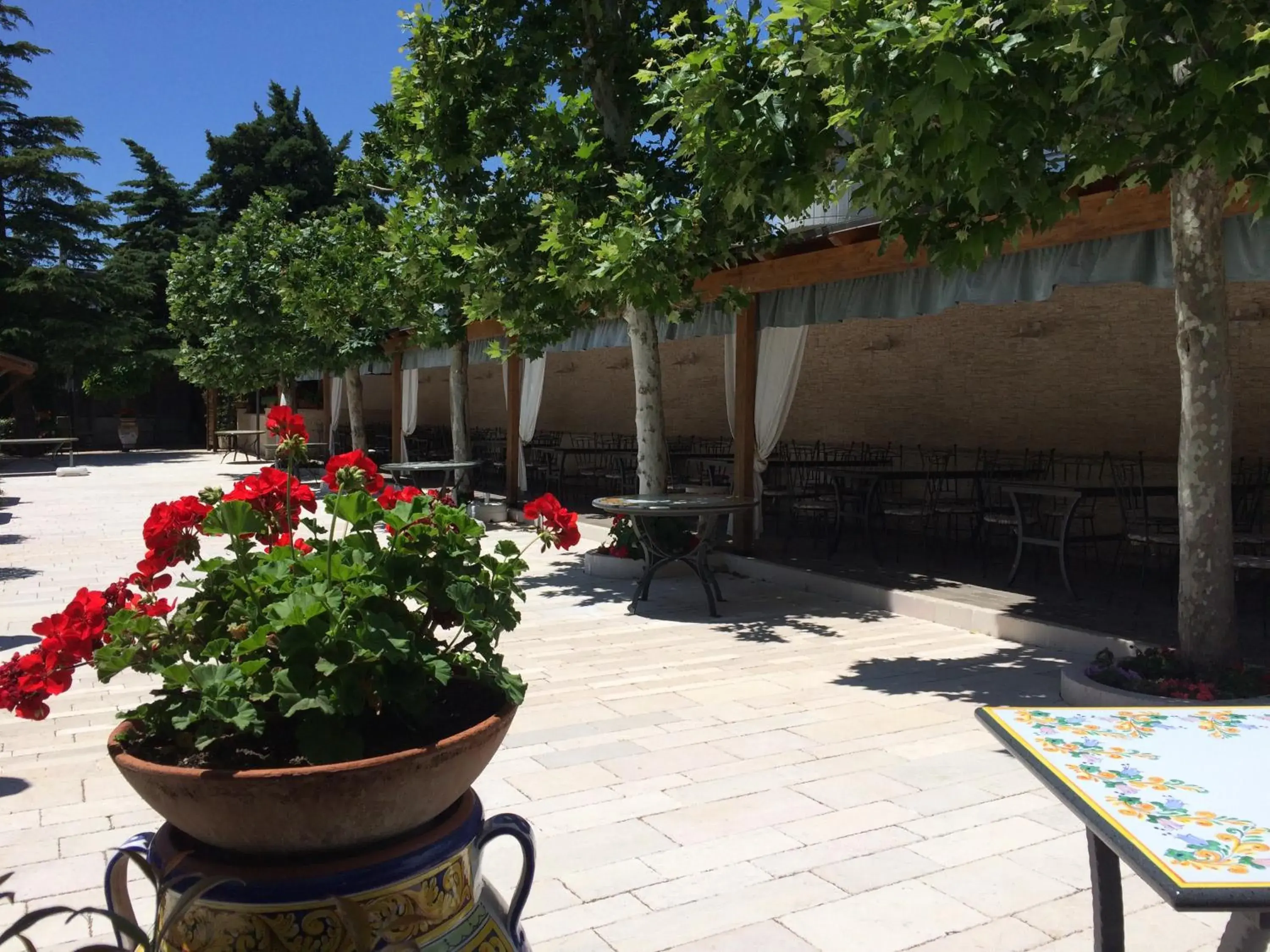 Garden, Patio/Outdoor Area in Hotel Parco Delle Rose