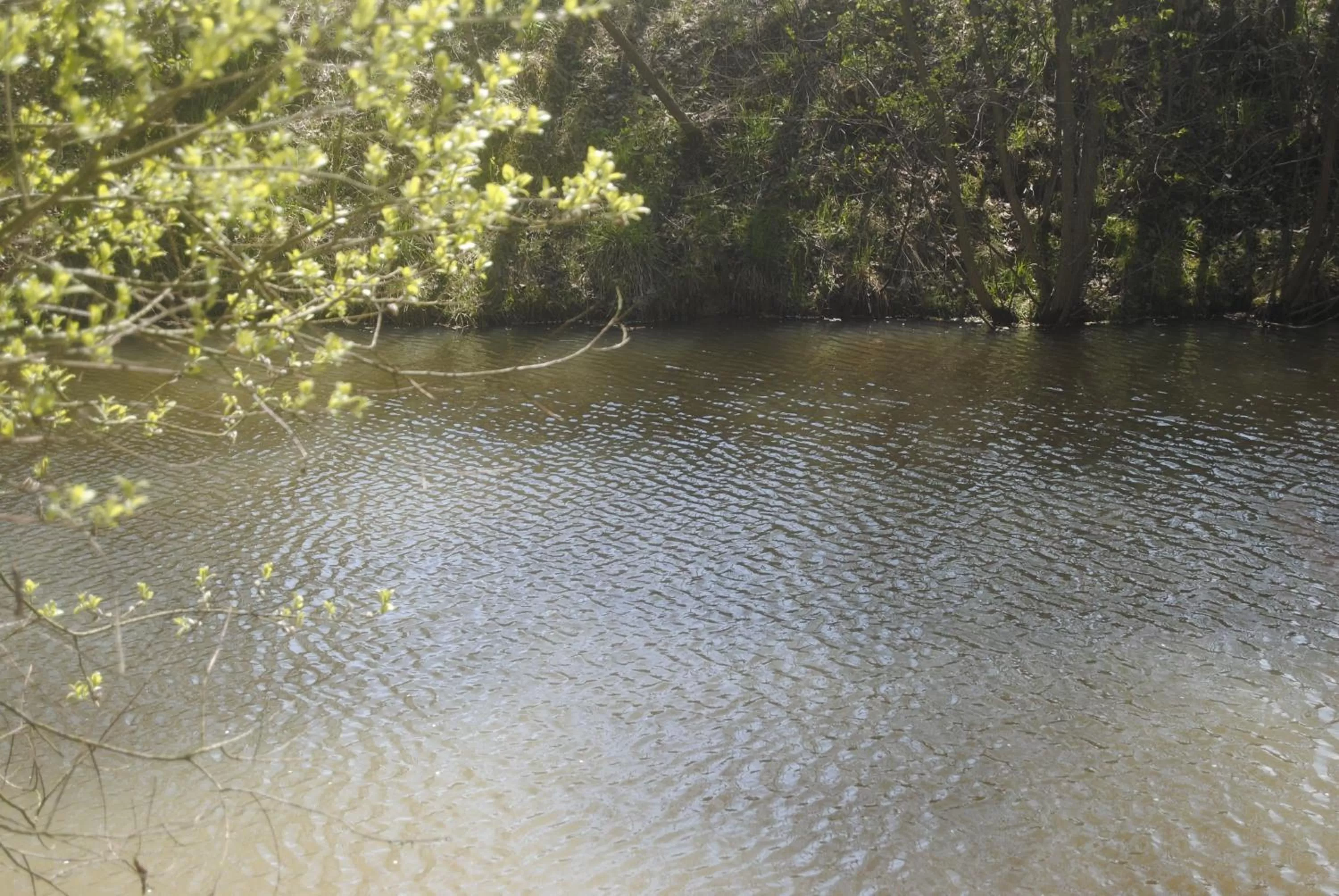 Natural landscape in Villasol