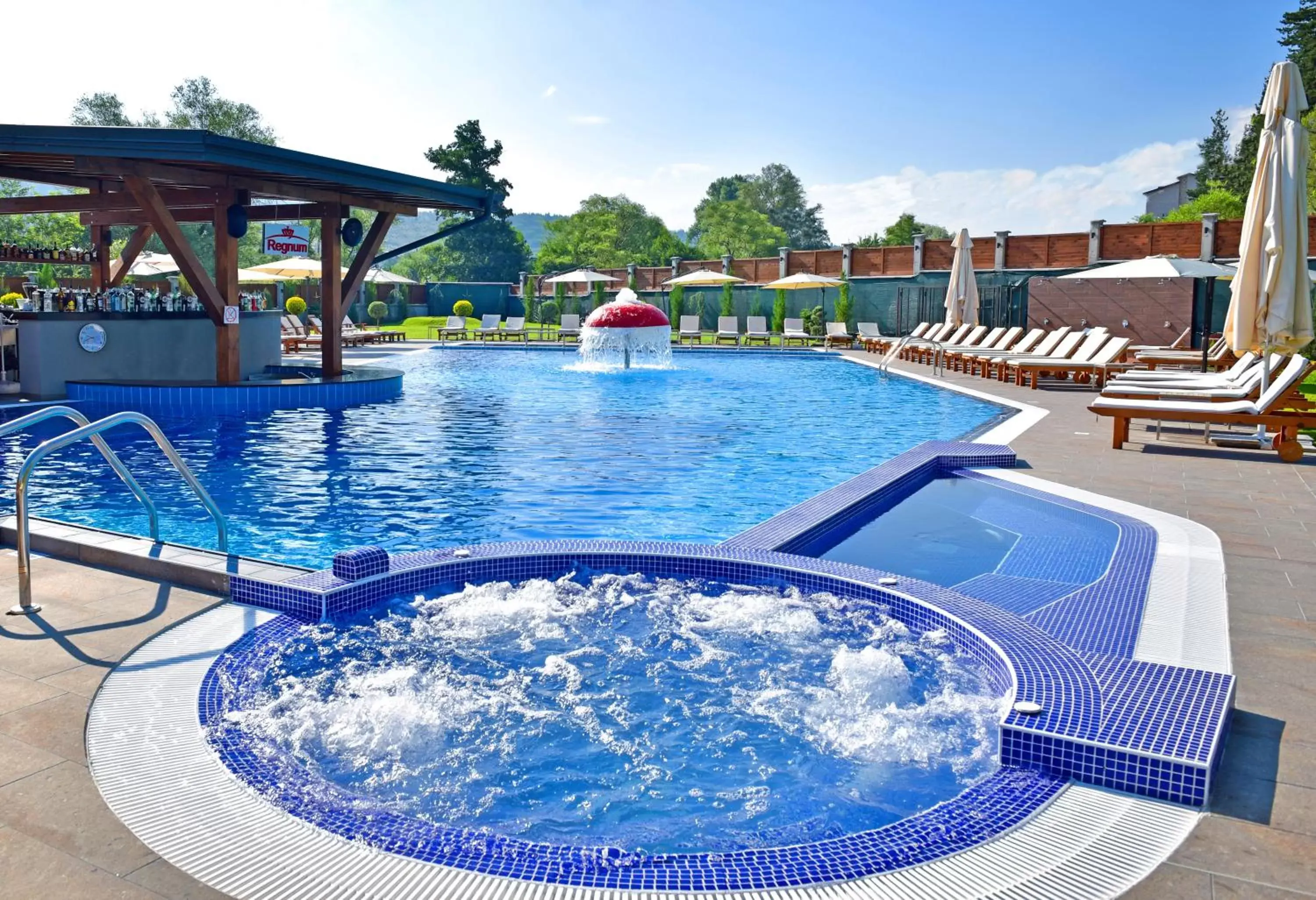 Spa and wellness centre/facilities, Swimming Pool in Regnum Bansko Ski Hotel & SPA