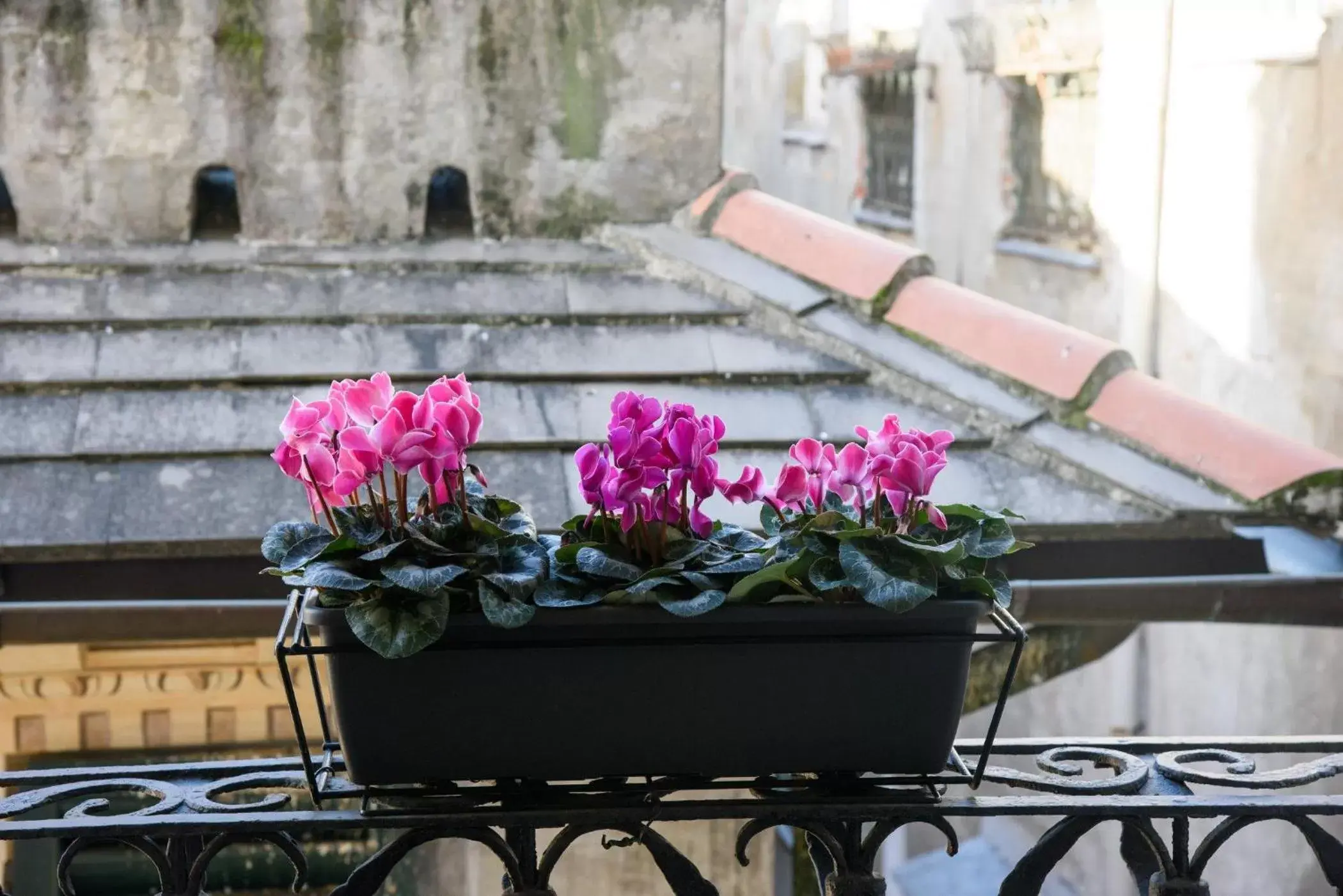 Balcony/Terrace in B&B Piccoli Leoni