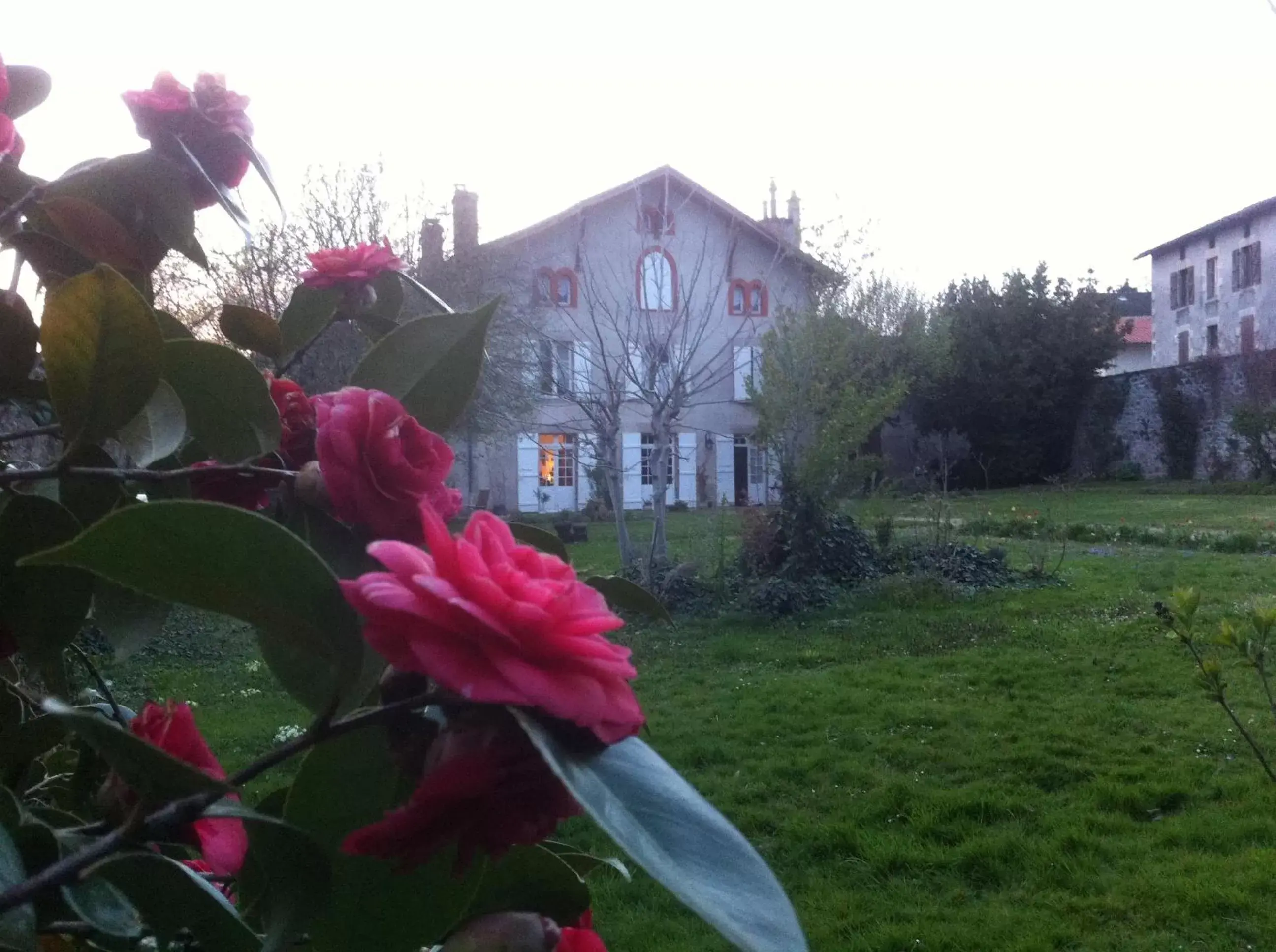 Garden, Property Building in Le Clos de La Muse