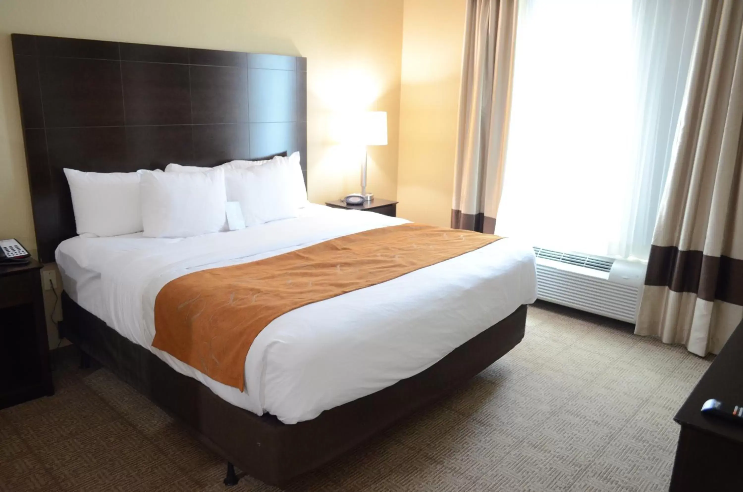 King Suite with Sofa Bed - Disability Access/Non-Smoking in Comfort Suites Houston Northwest Cy-Fair