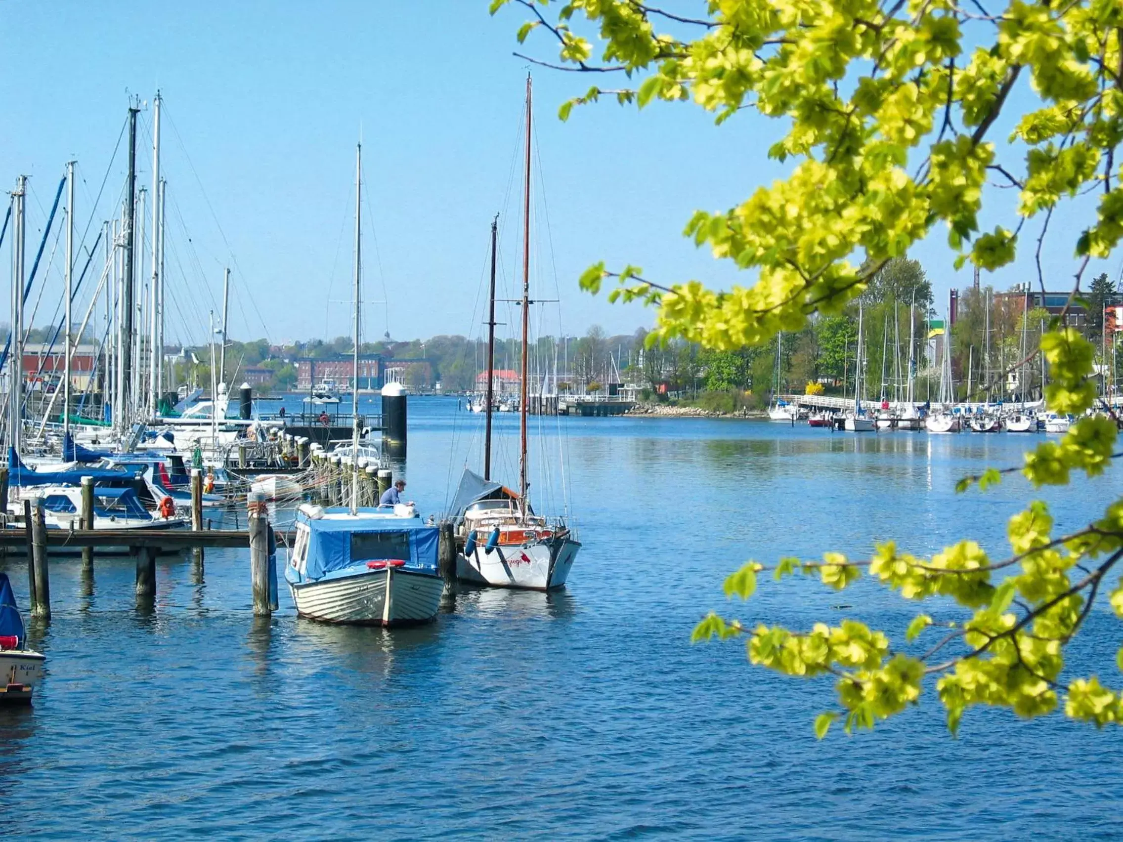 Area and facilities in Hotel Am Segelhafen