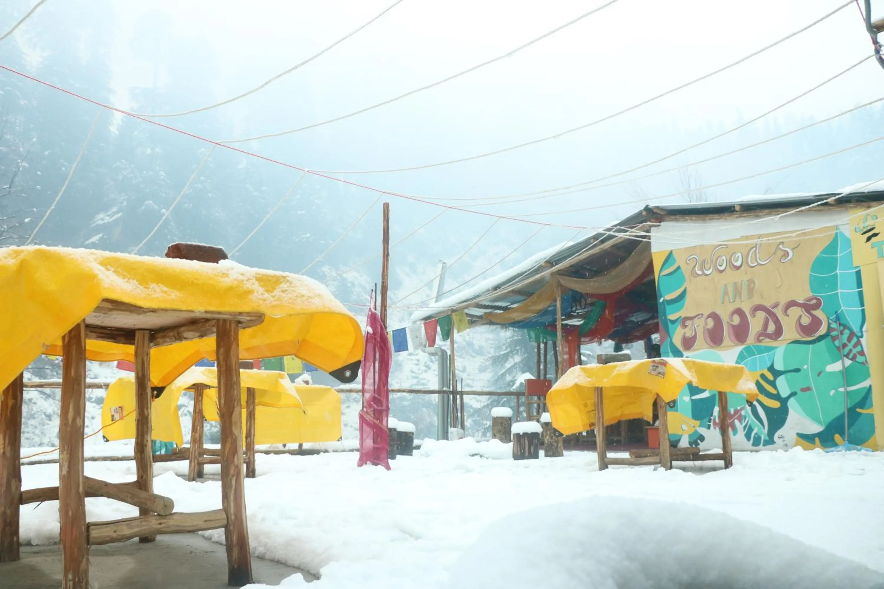 Balcony/Terrace in Backpackers Headquarter Manali