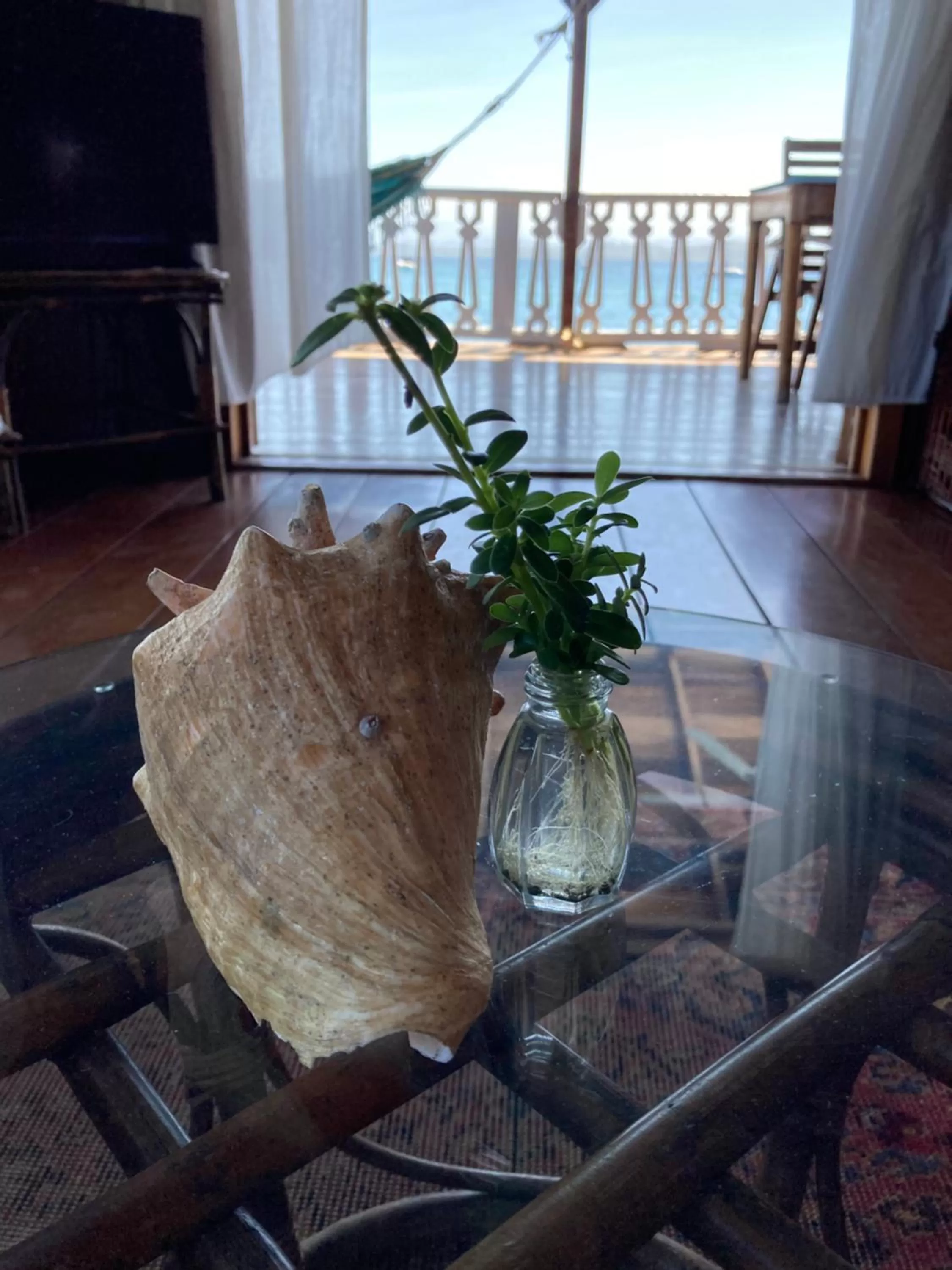 Casa Acuario Boutique Hotel