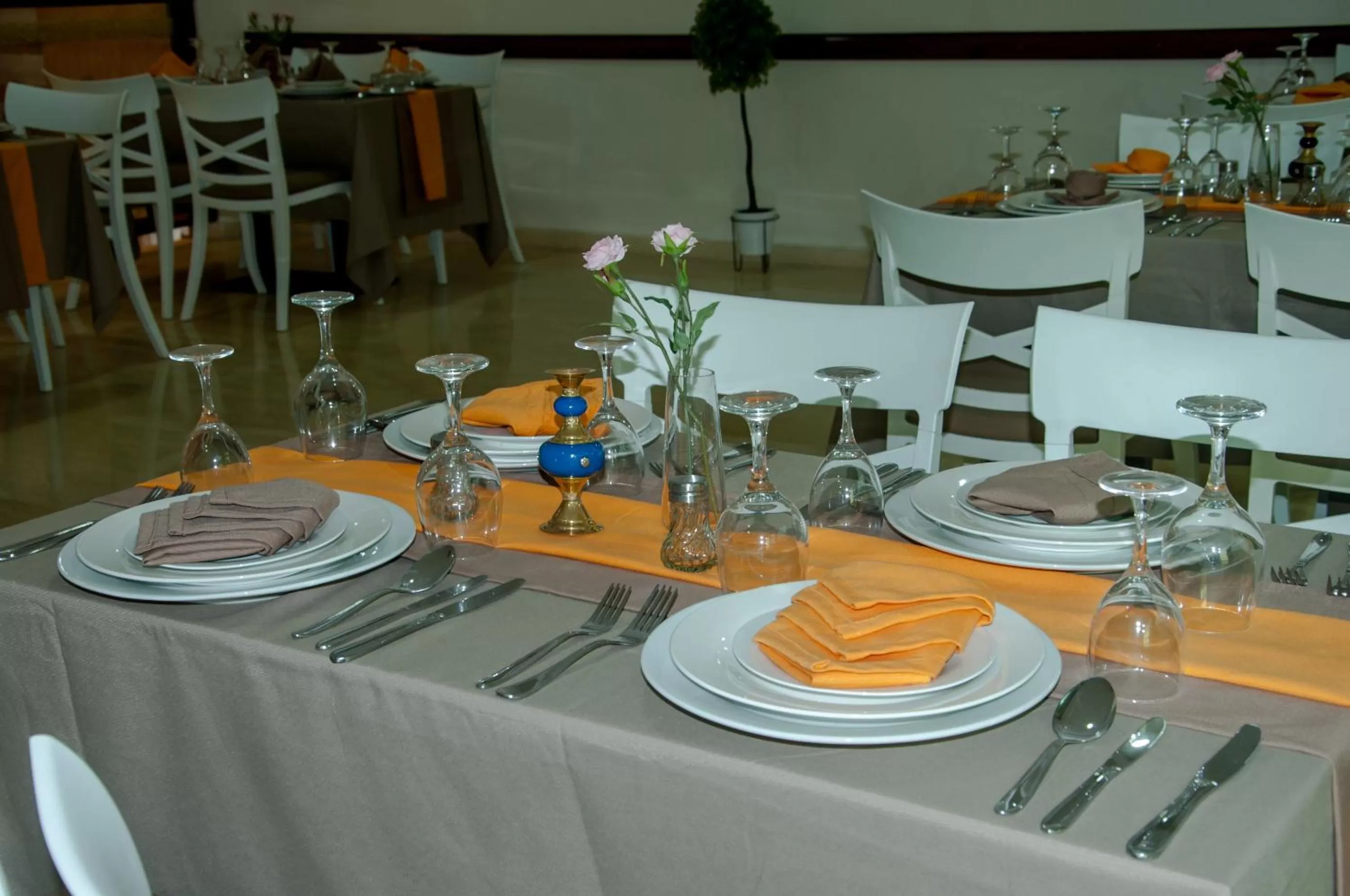 Restaurant/Places to Eat in Sania Hotel