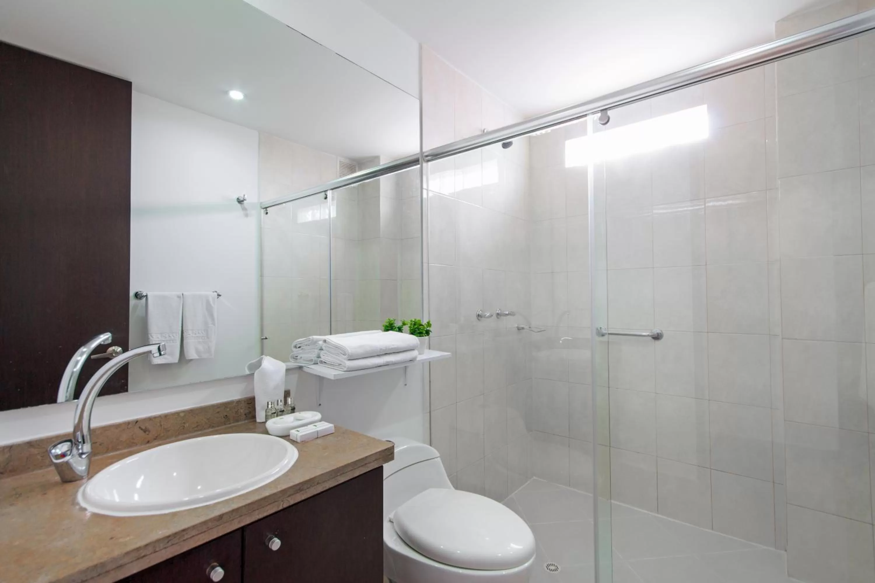 Toilet in 122 Plaza Apartahotel