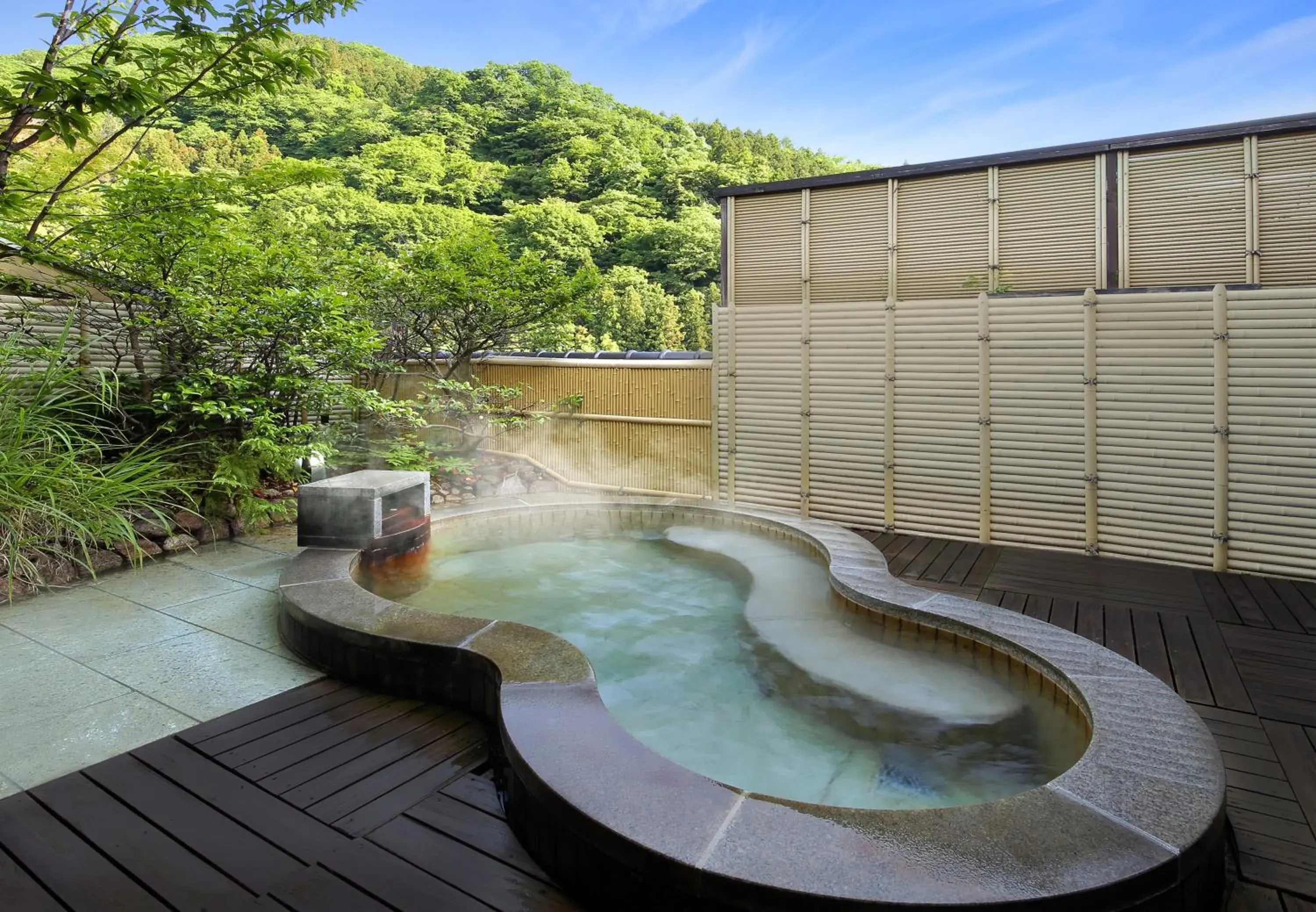 Hot Spring Bath, Swimming Pool in Ryokan Tachibanaya