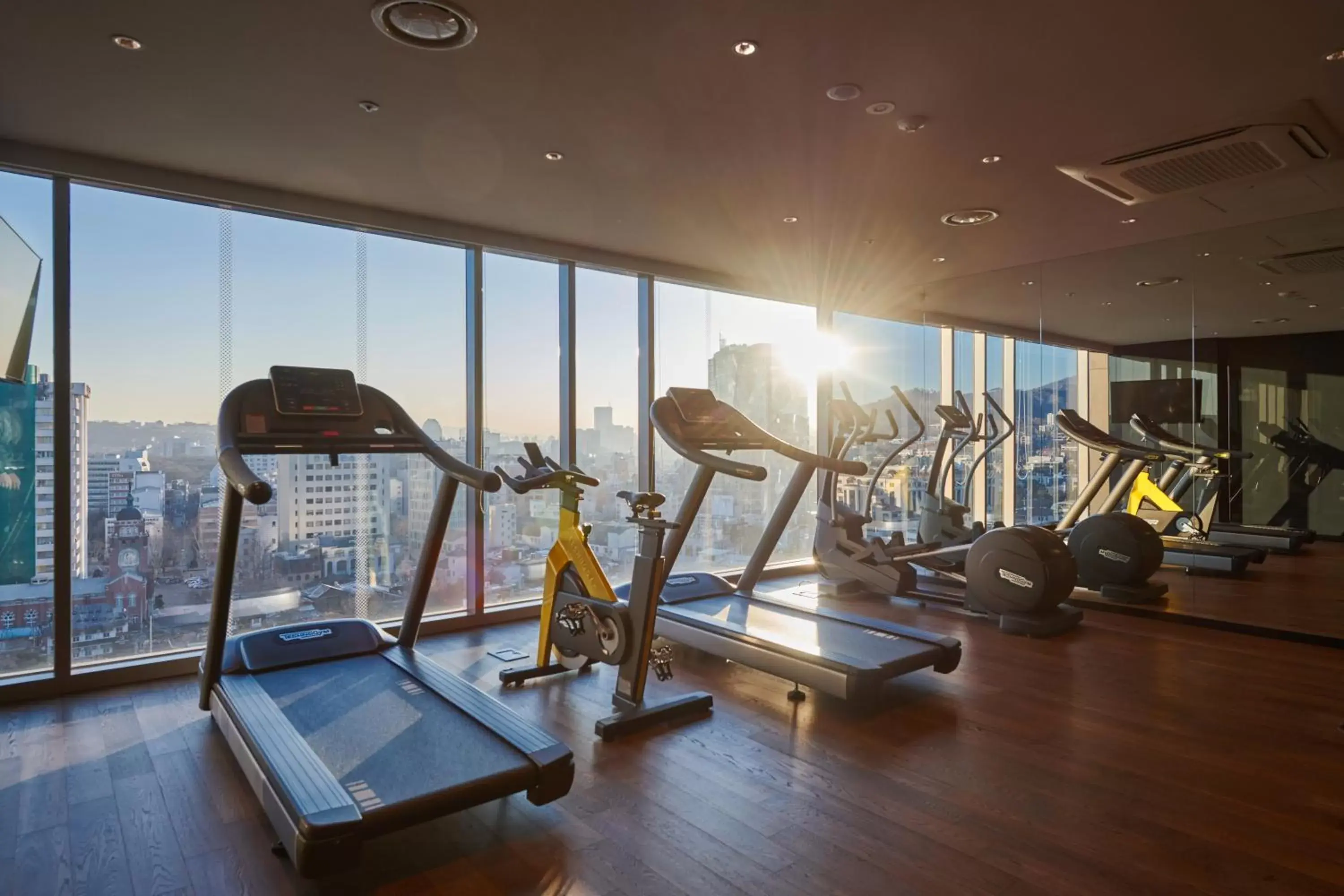 Fitness centre/facilities, Fitness Center/Facilities in Nine Tree Premier Hotel Insadong