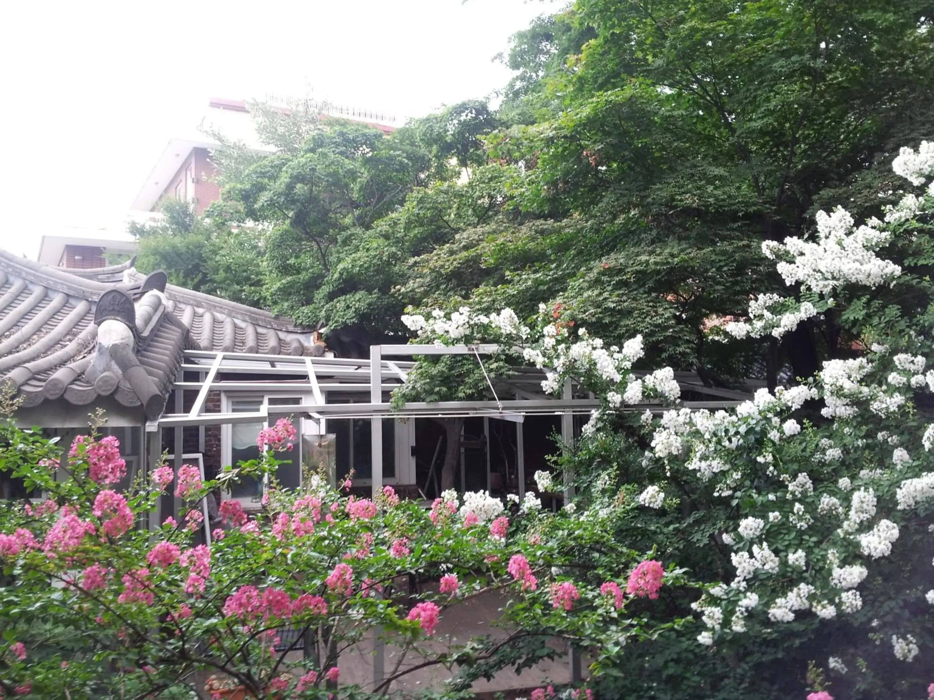 Garden, Property Building in Jiwoljang Guest House
