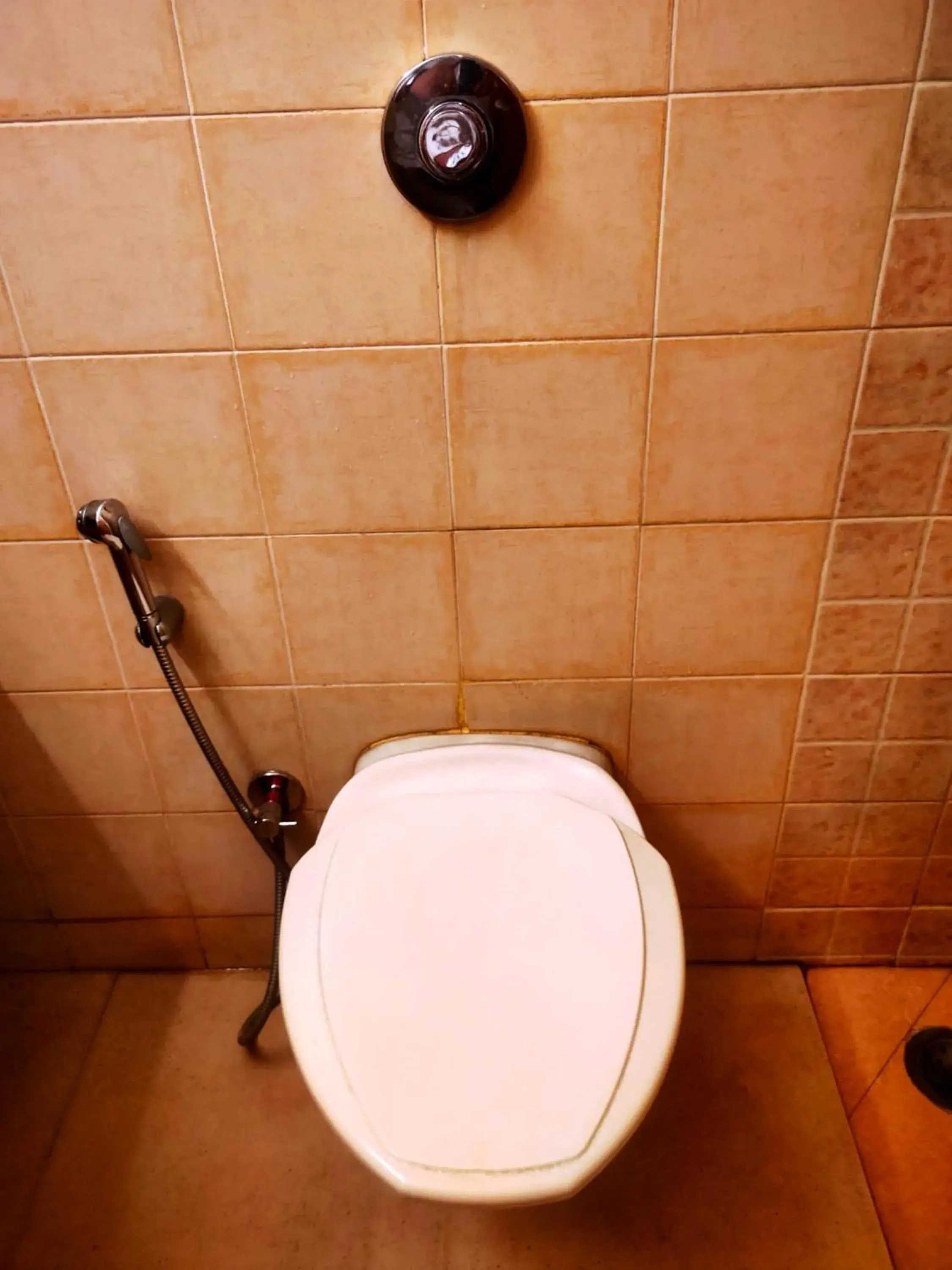 Toilet, Bathroom in Hotel Roopa