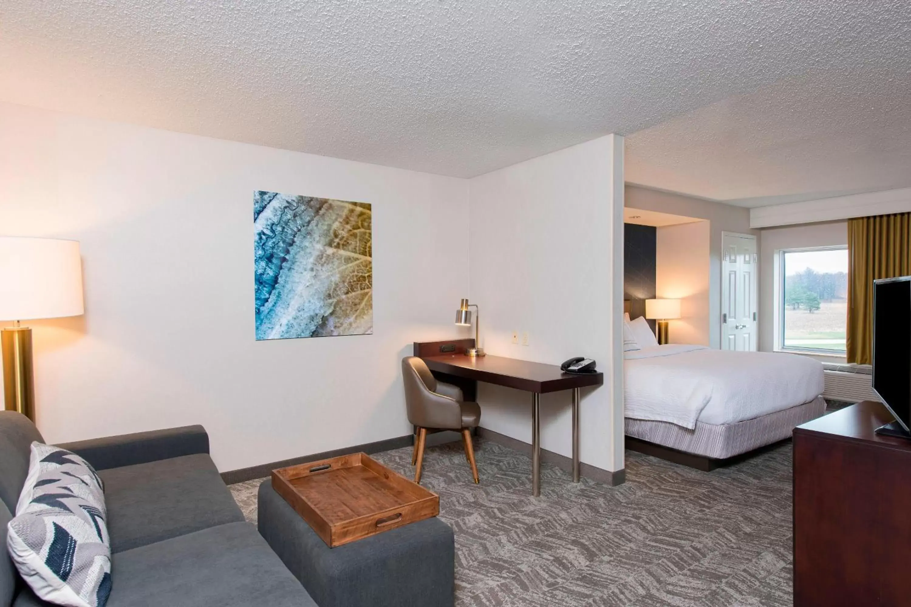 Photo of the whole room, Bed in SpringHill Suites Midland