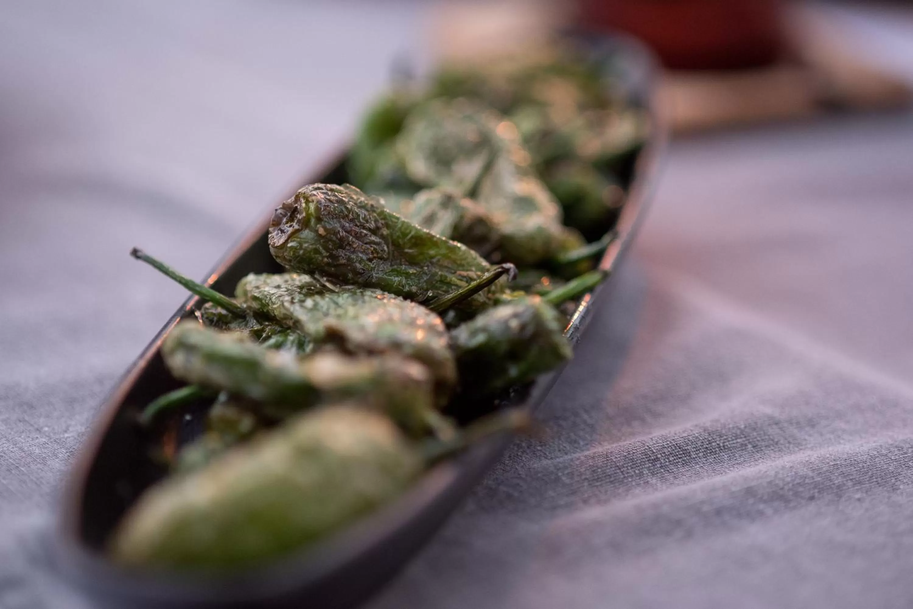 Restaurant/places to eat in Casa Font i Roig