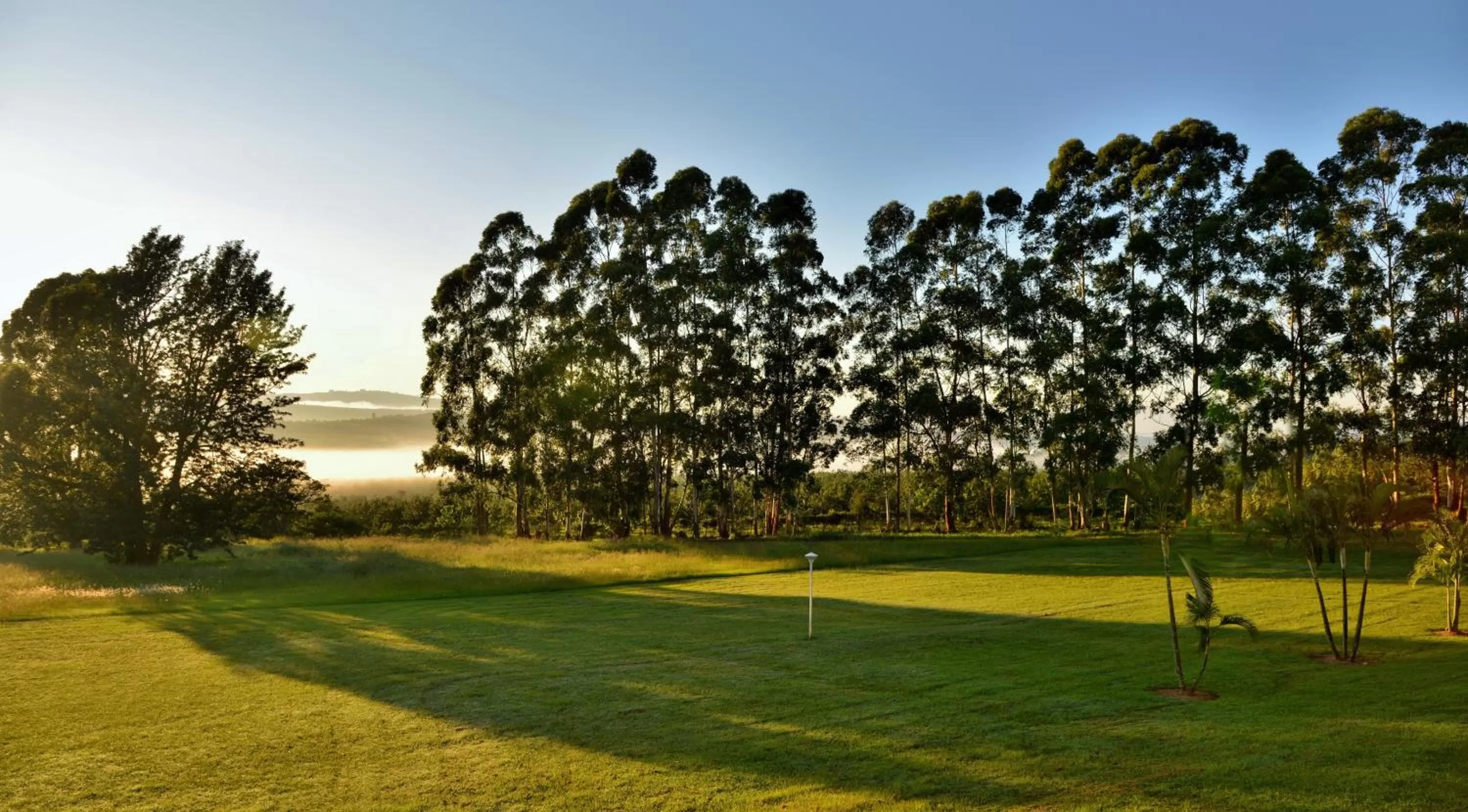 Garden in Premier Hotel The Winkler