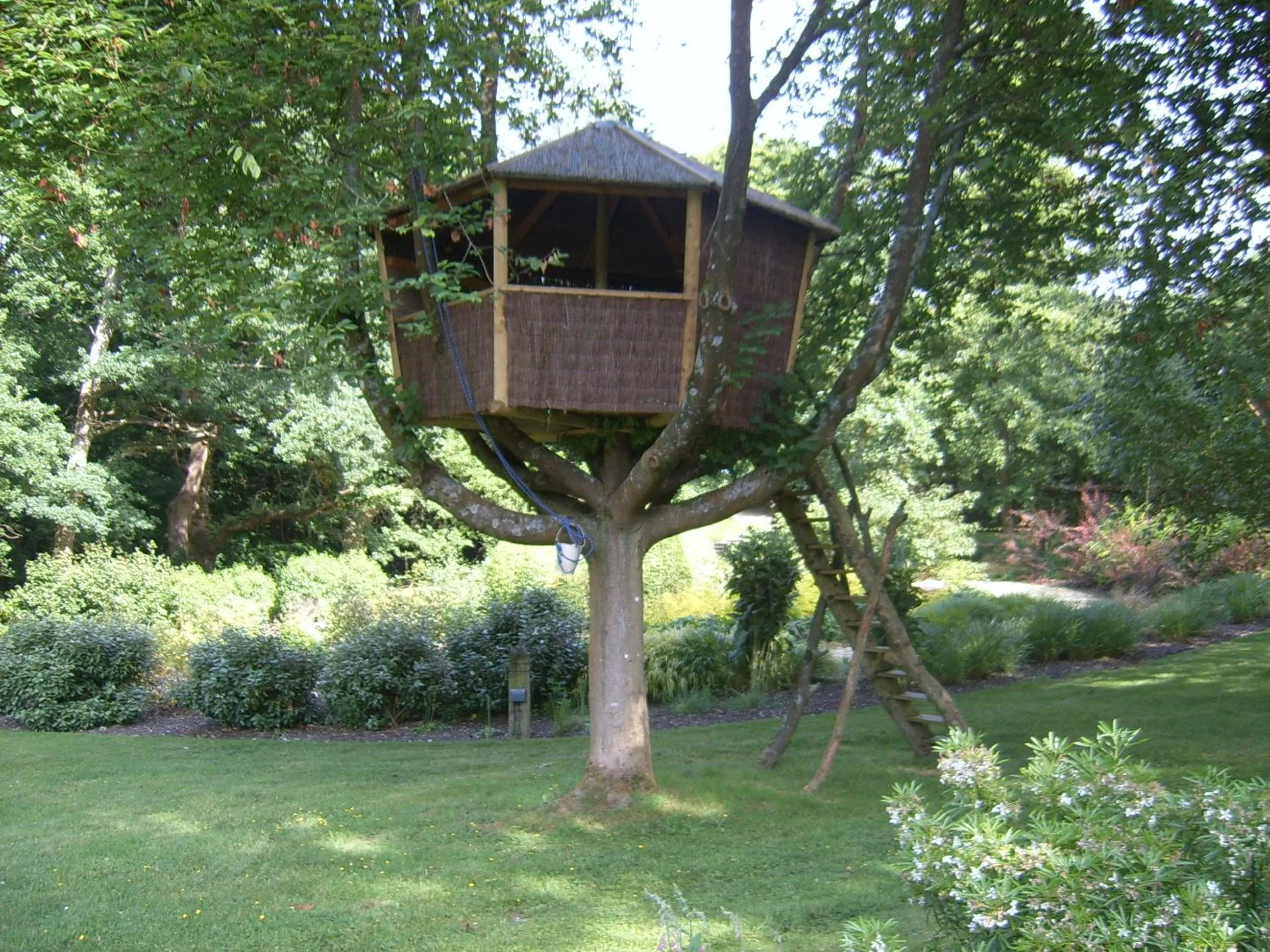 Garden in Passford House Hotel