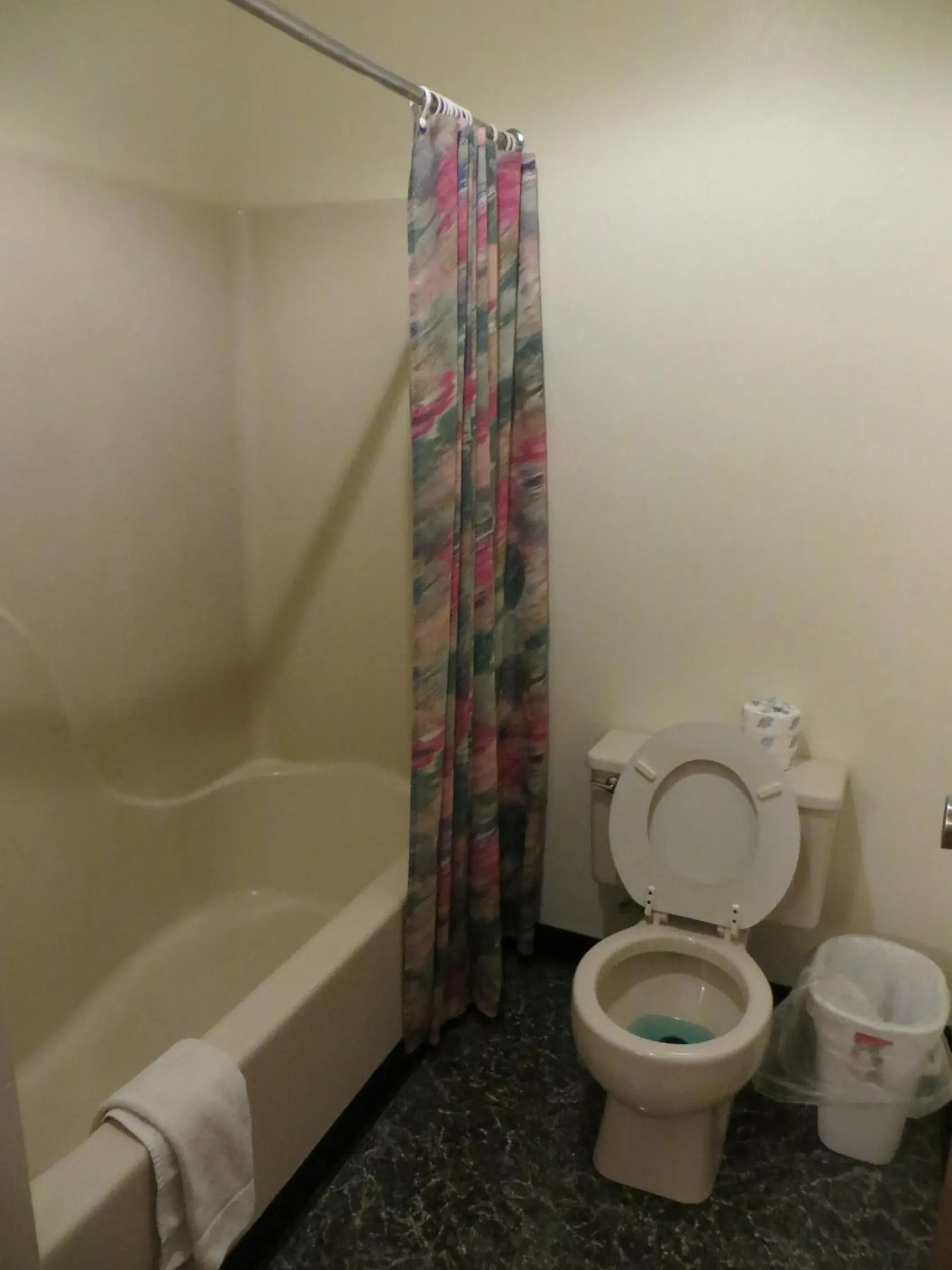 Bathroom in Starlite Budget Inn