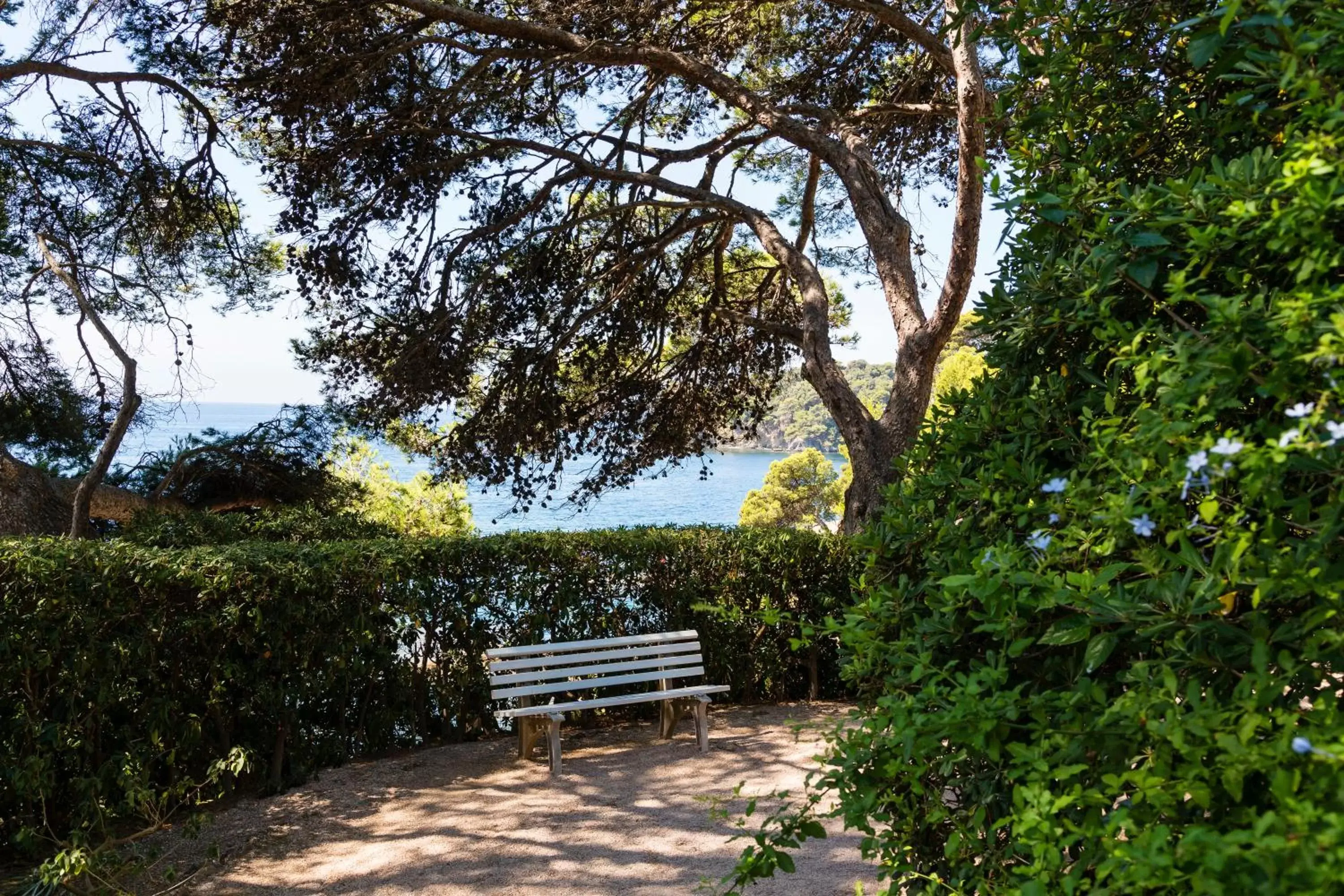 Garden in Hotel Provençal