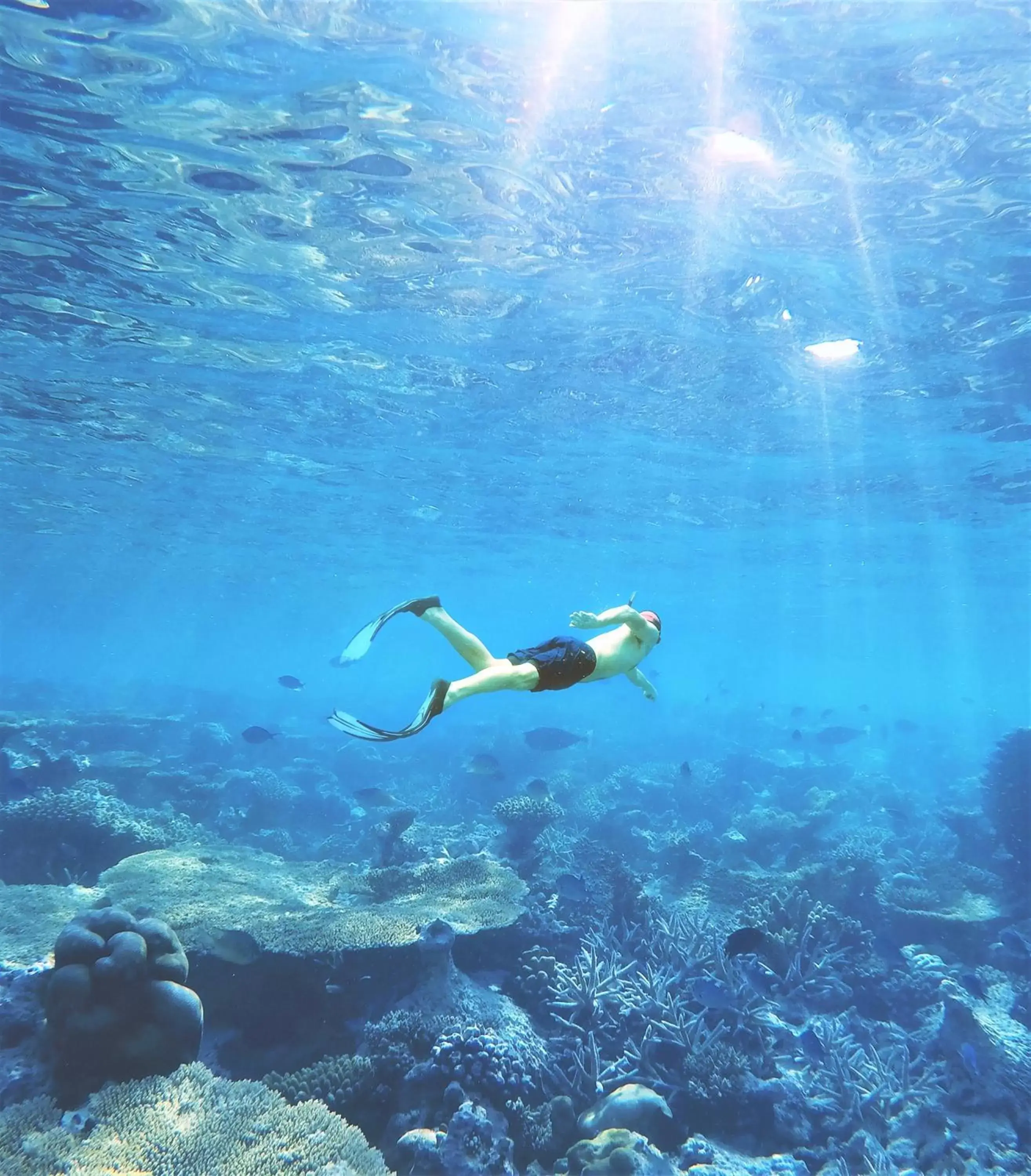 Diving, Snorkeling/Diving in InterContinental Fujairah Resort, an IHG Hotel