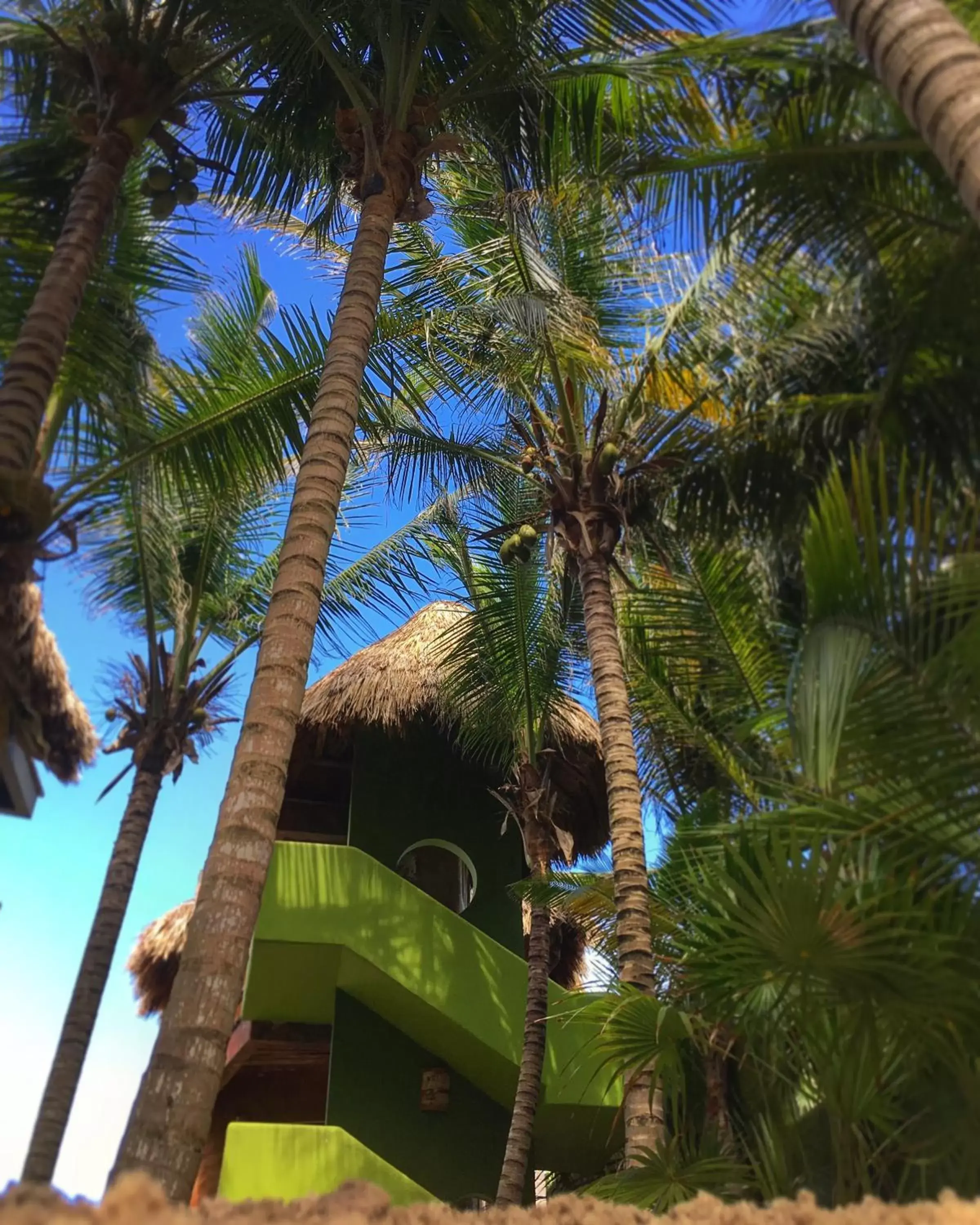 Other, Property Building in Sueños Tulum