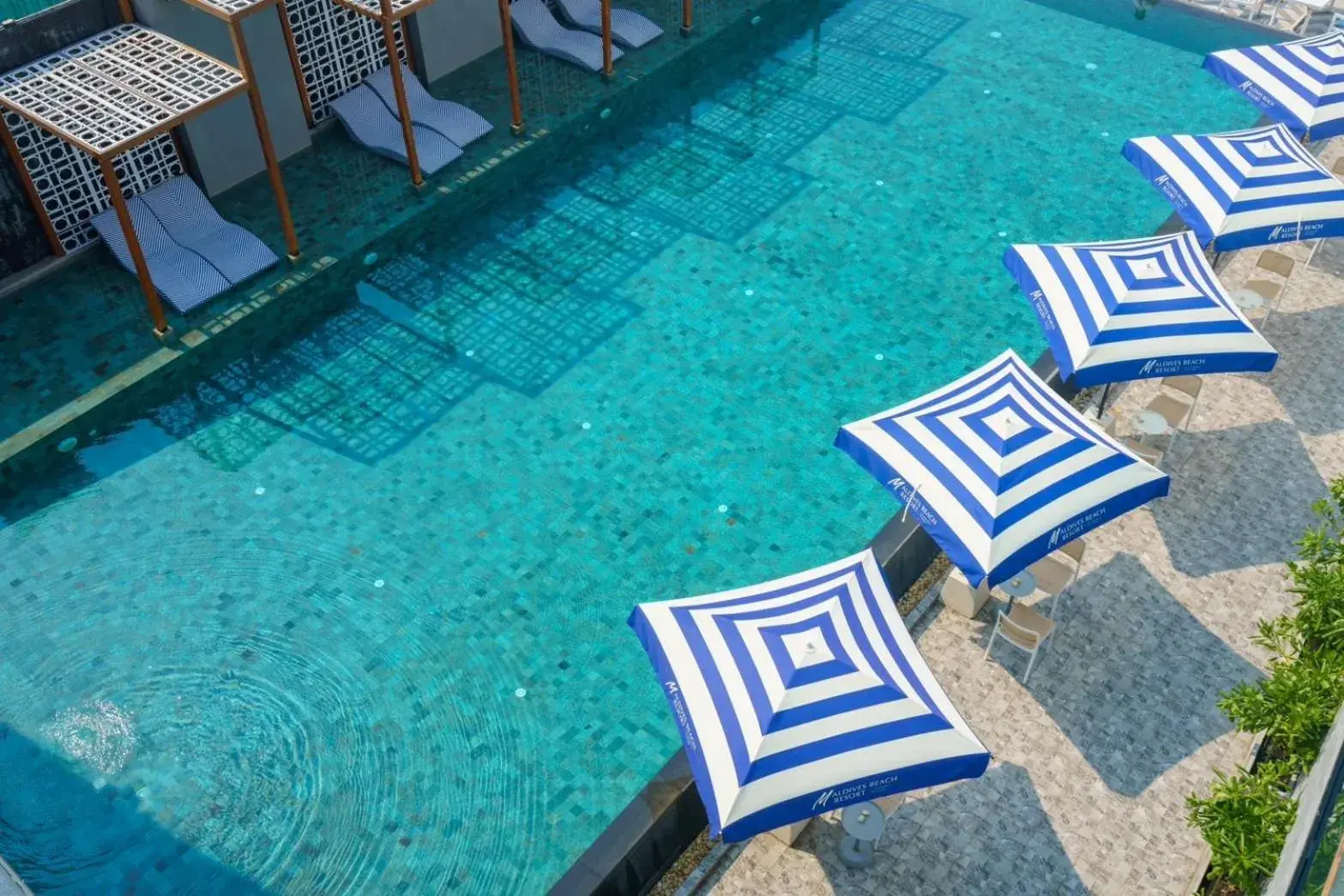 Swimming pool in Maldives Beach Resort Swimming pool in Maldives Beach Resort