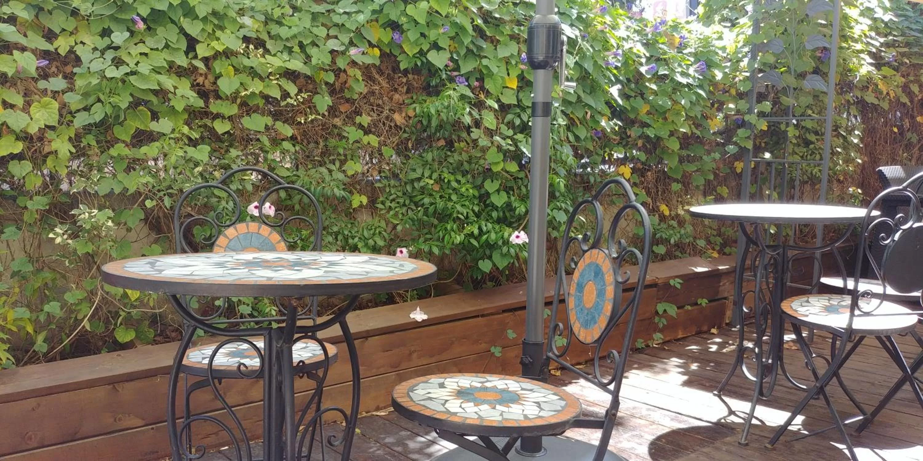 Garden in The Little House In Bakah