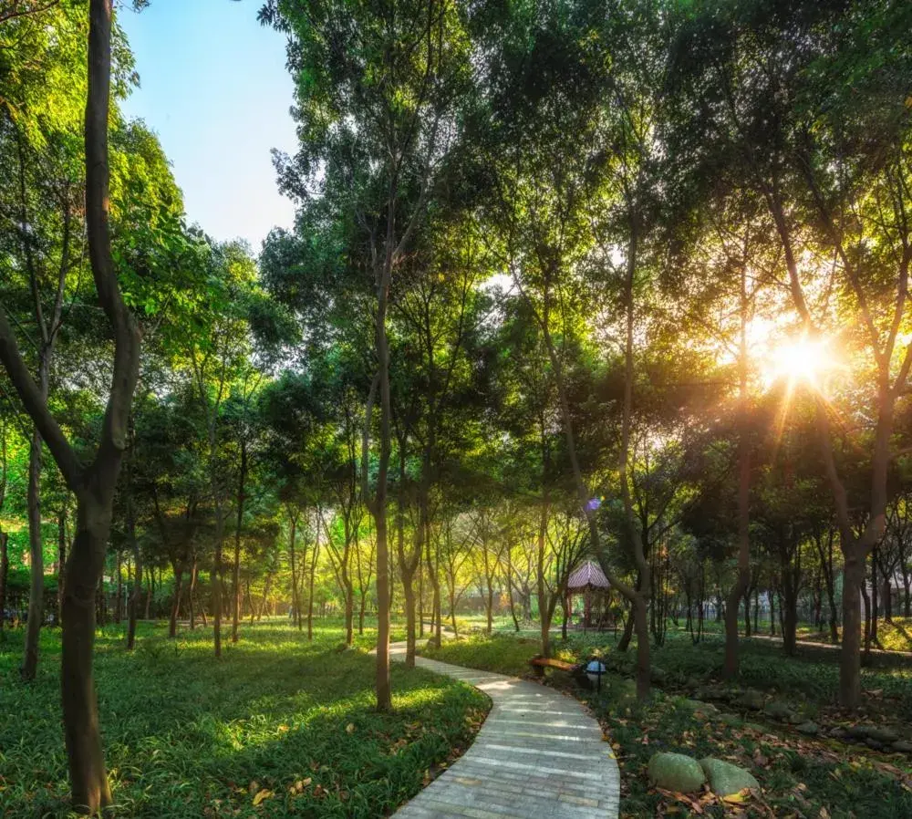 Garden in Wangjiang Hotel