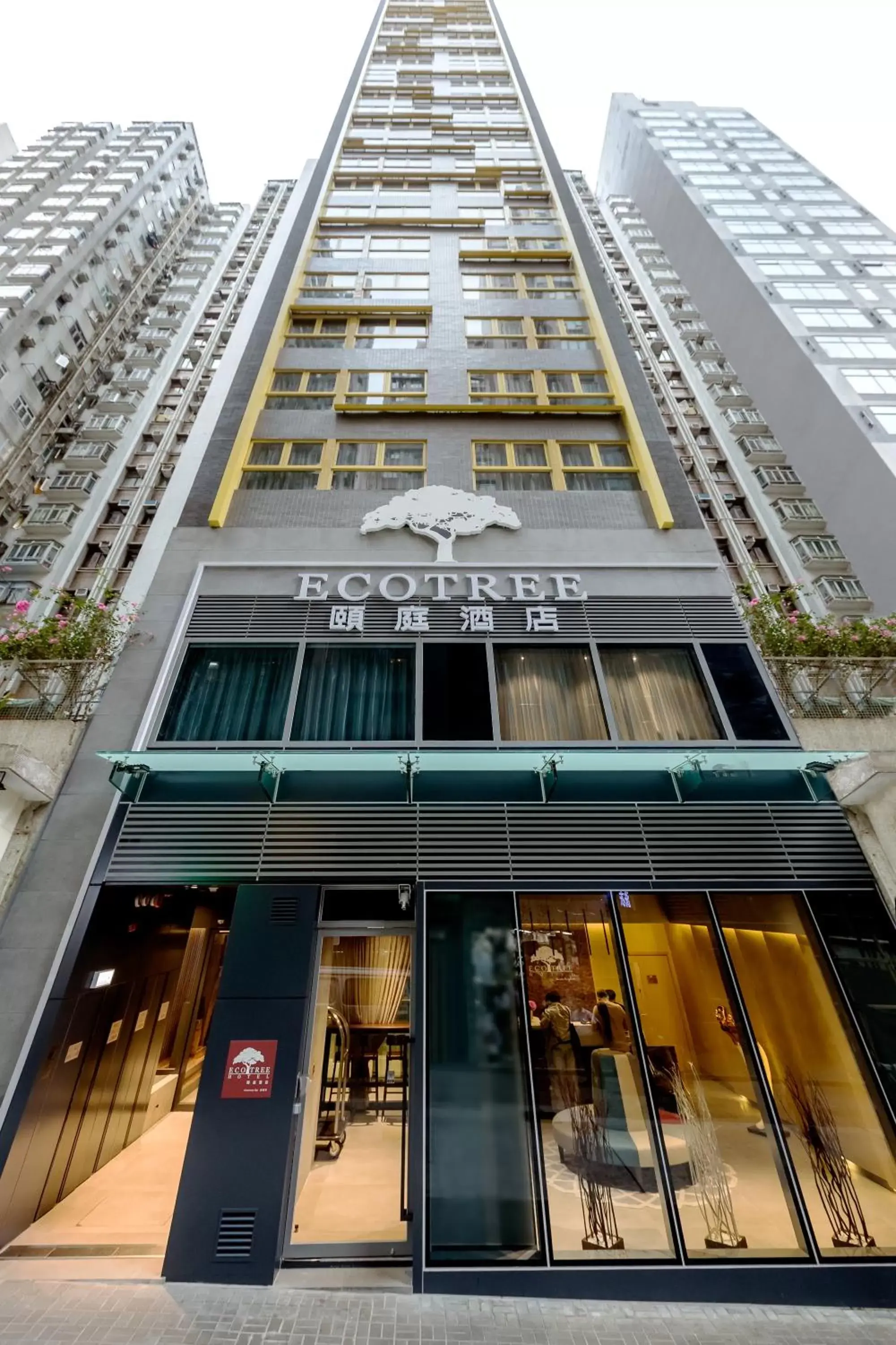 Property Building in Eco Tree Hotel Causeway Bay