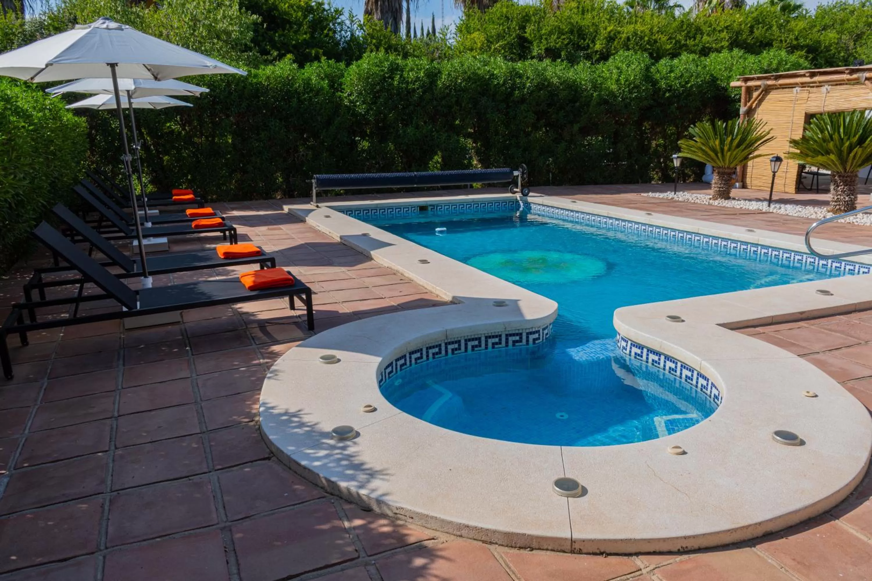 Swimming pool in Casa de Ámbar, Bed&Breakfast