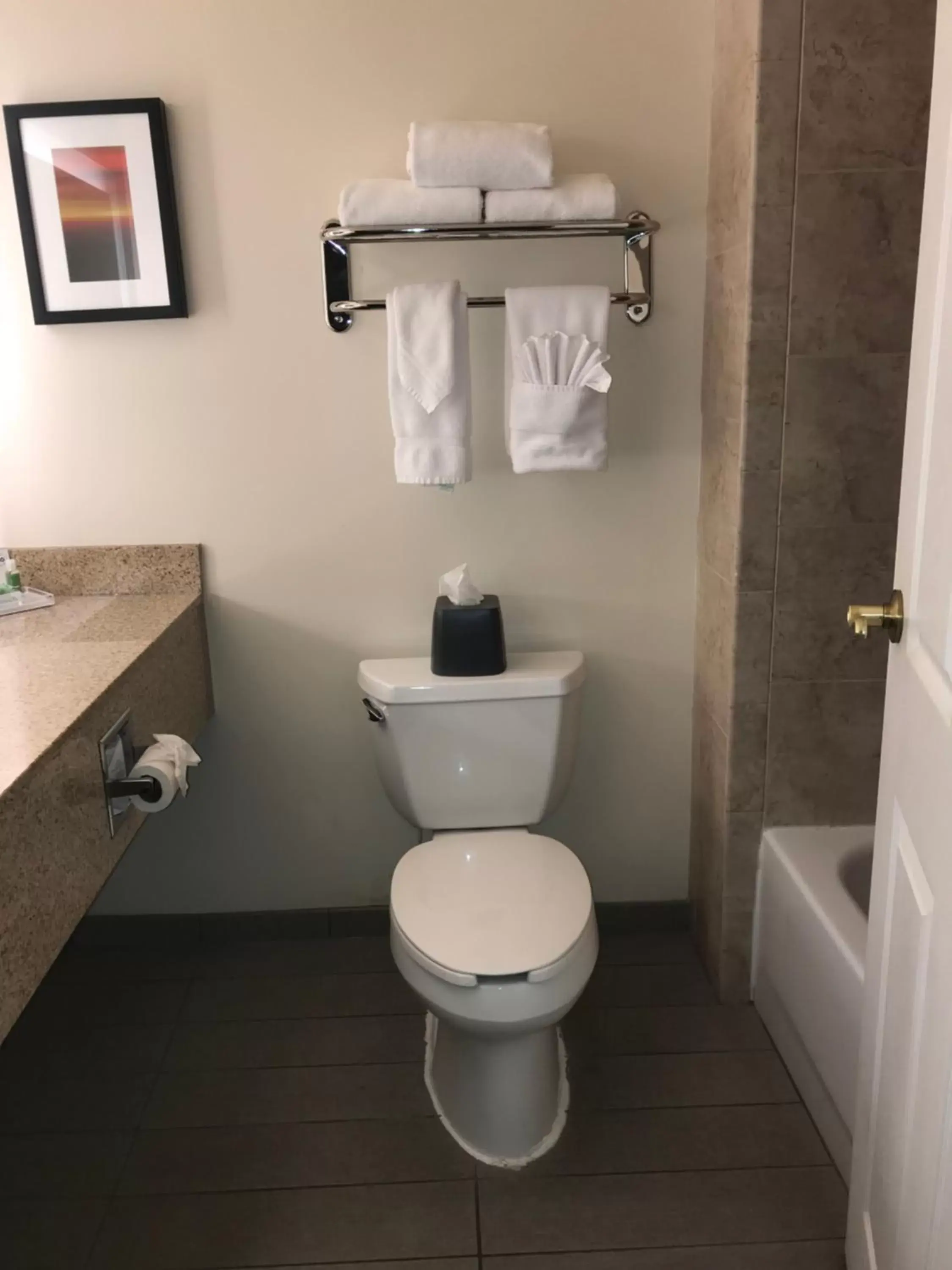 Toilet, Bathroom in Holiday Inn Hotel & Suites Ann Arbor University of Michigan Area, an IHG Hotel