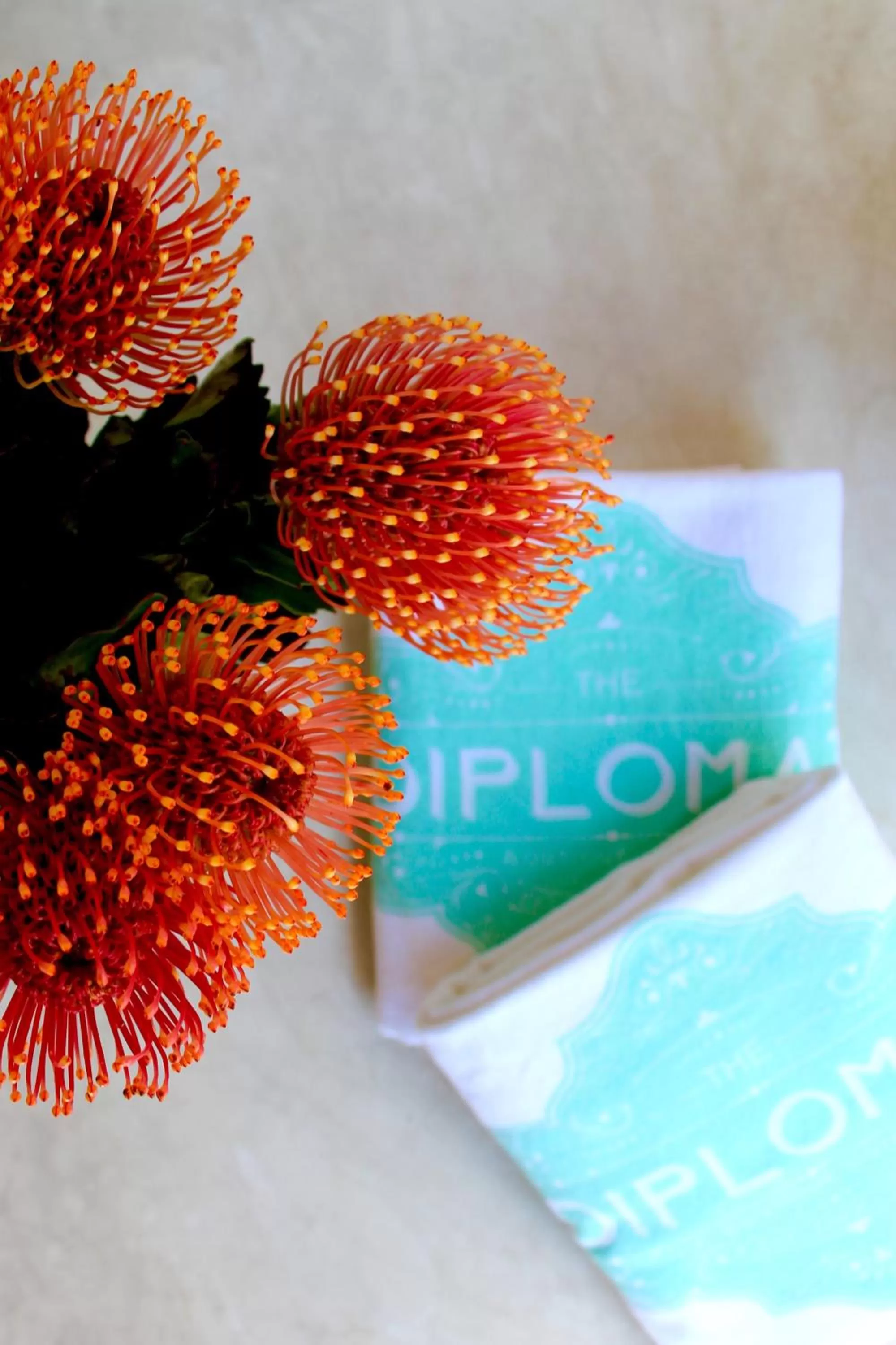 Patio in The Diplomat Boutique Hotel