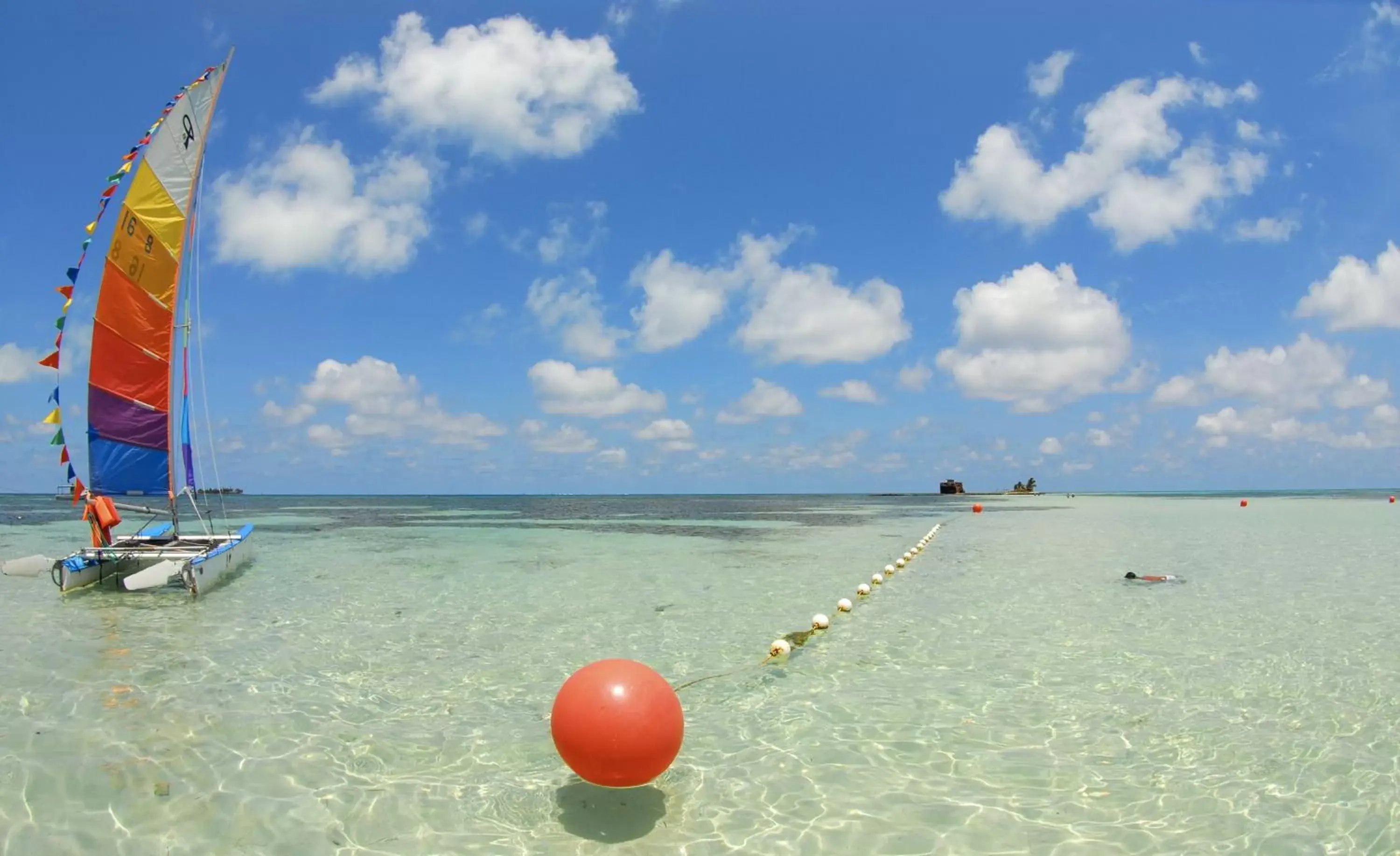 Natural landscape, Beach in Hotel Cocoplum Beach