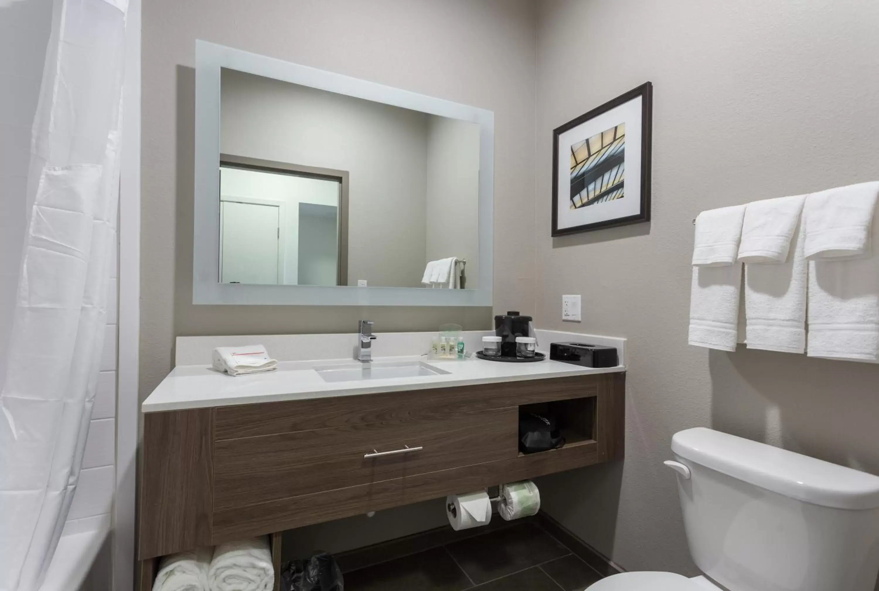 Bathroom in Holiday Inn San Marcos Convention Center, an IHG Hotel