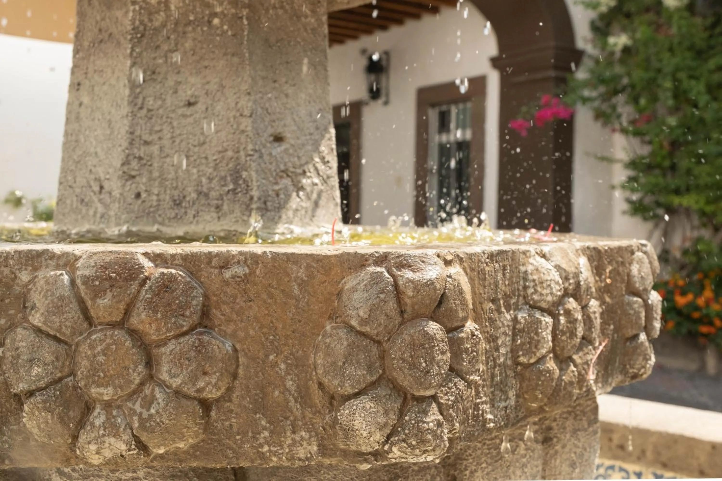 Patio in Hotel Layseca