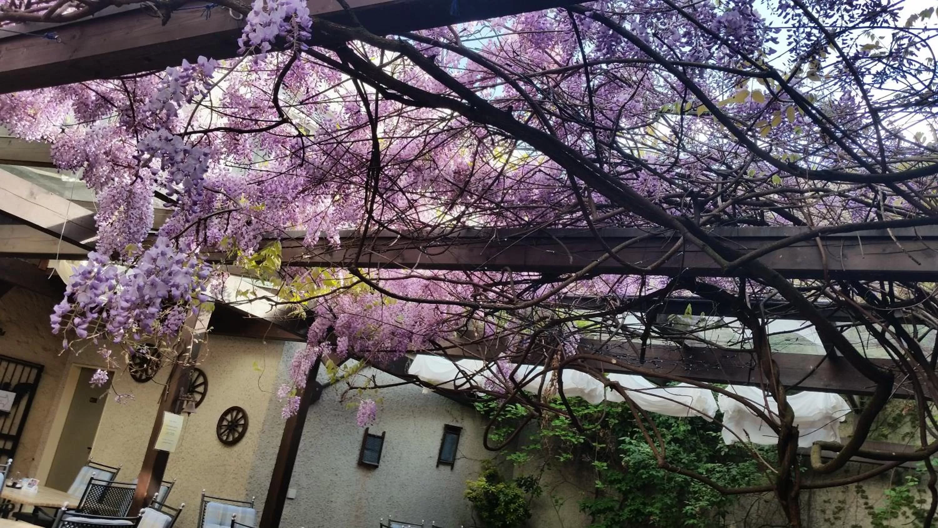 Property building in Adler Gaststube Hotel Biergarten