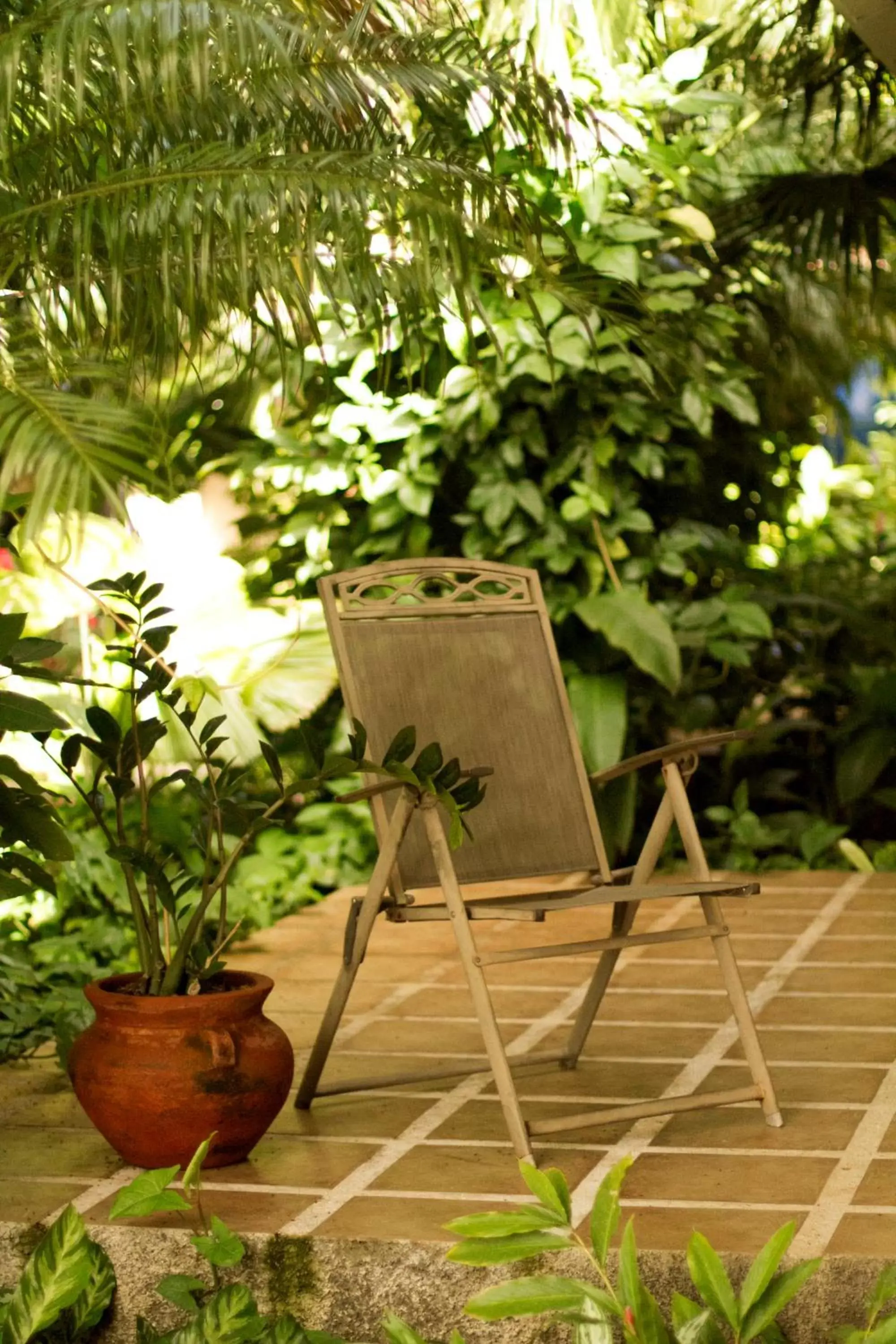 Balcony/Terrace in La Riviera Hotel