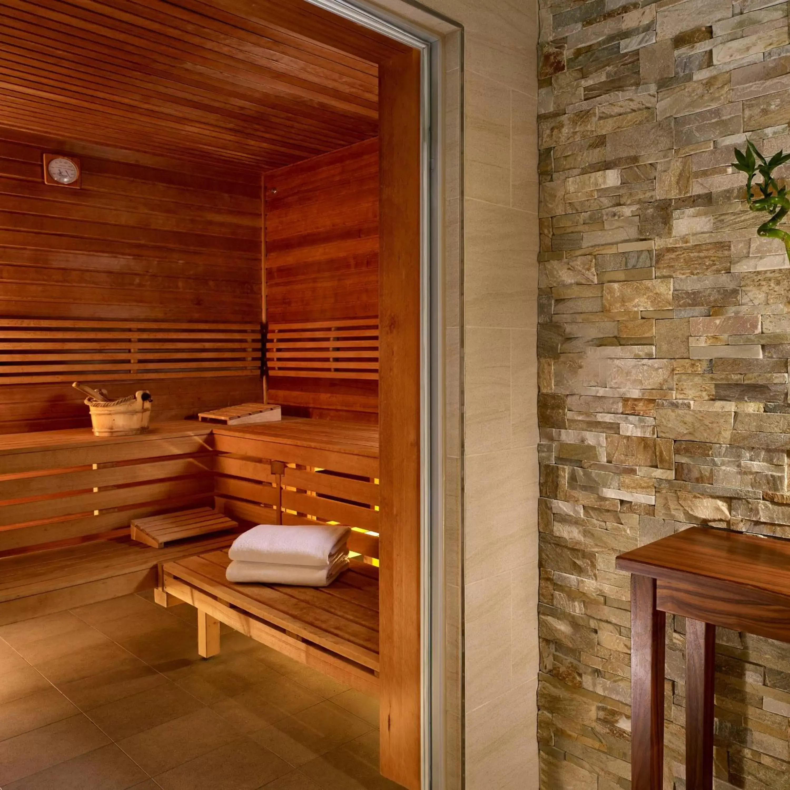 Spa and wellness centre/facilities in The Ritz-Carlton, Vienna