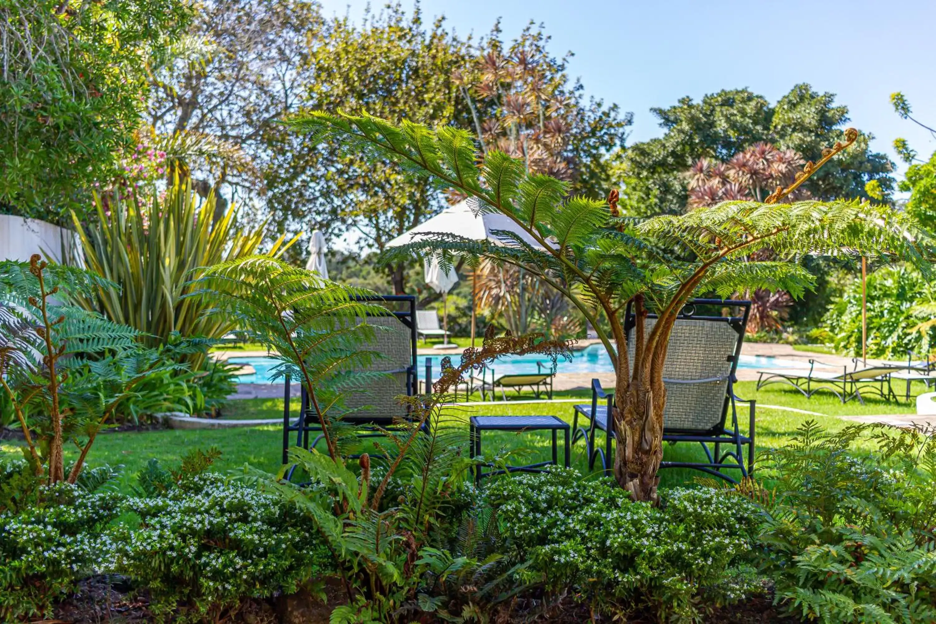 Swimming pool, Garden in Hunter's Country House