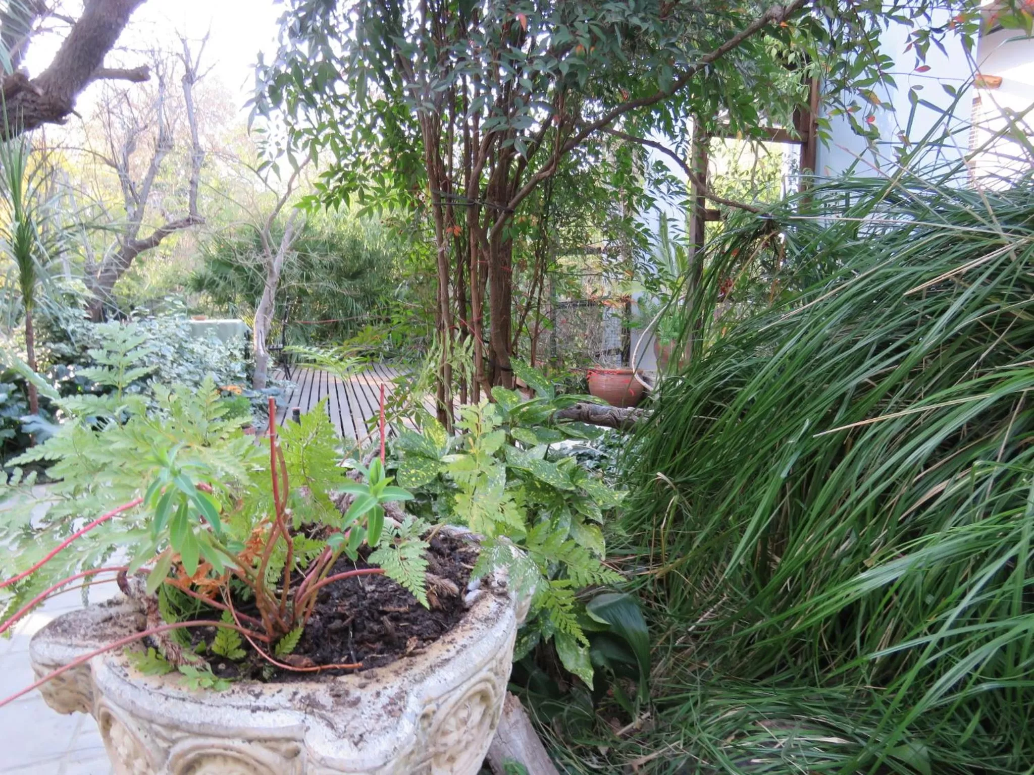 Natural landscape, Garden in Jedidja Bed and Breakfast