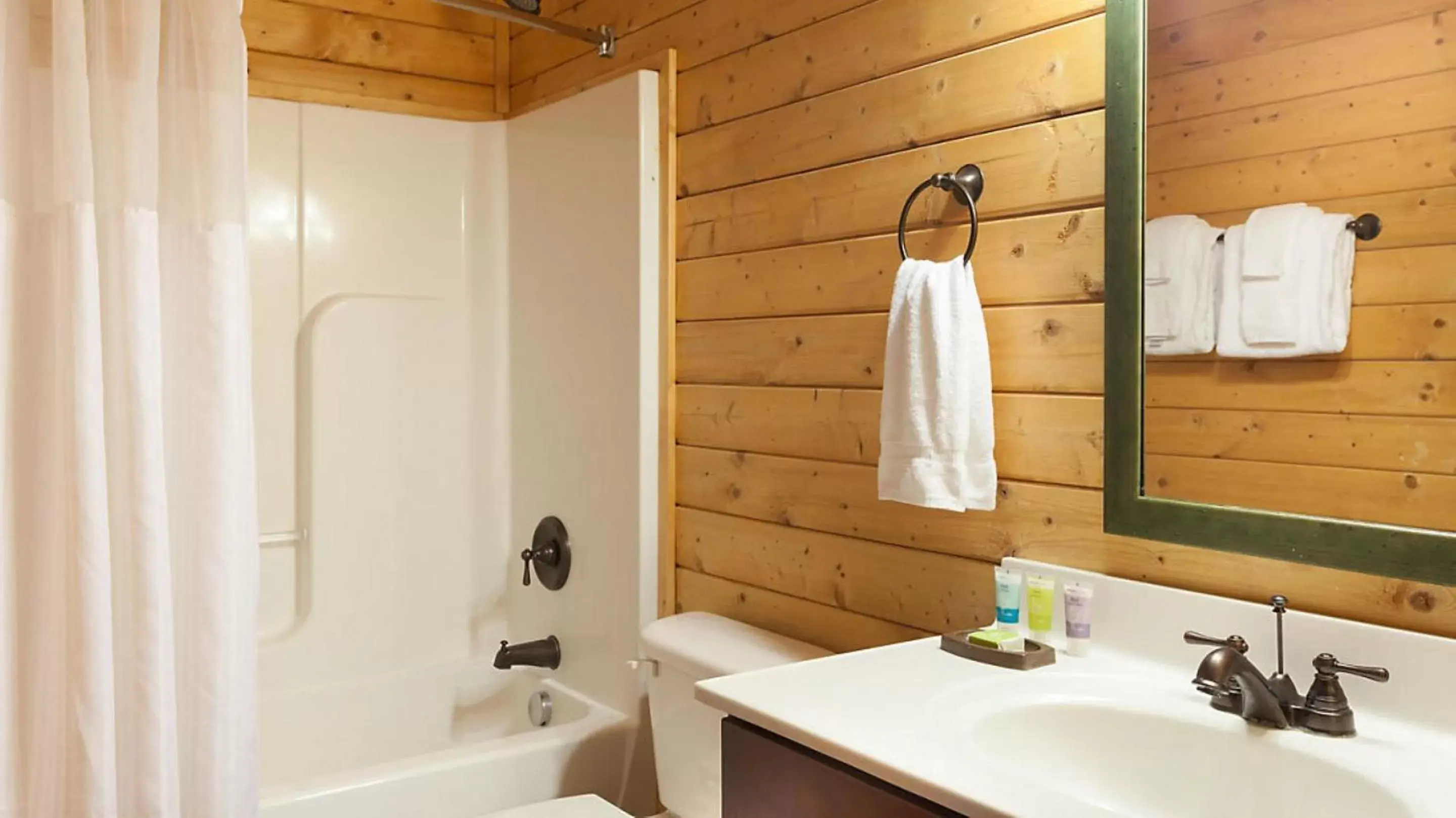 Bathroom in Bluegreen Vacations Shenandoah Crossing, Ascend Resort Collection